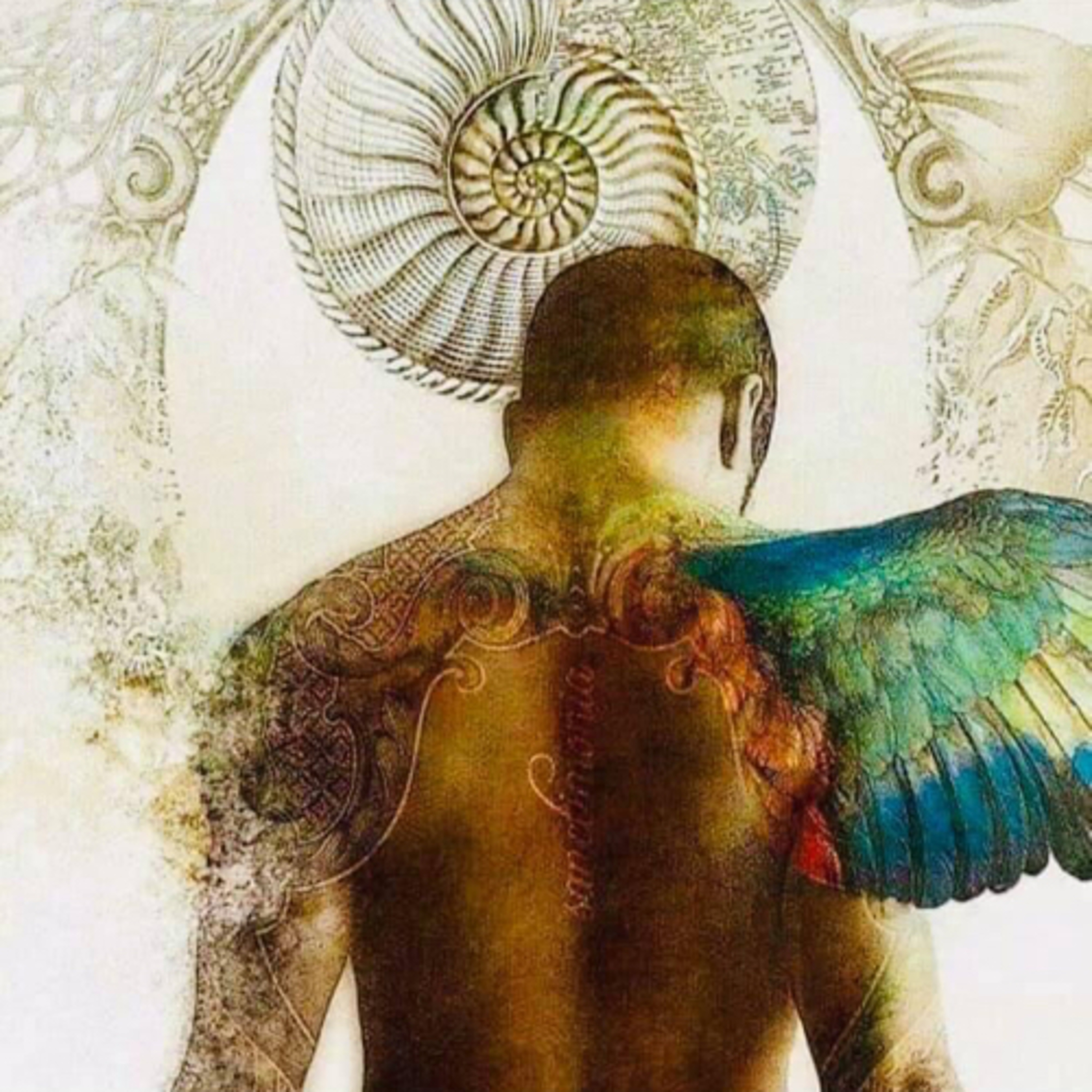 Didier Destouches/ L’ANTHOLOGIE SOLAIRE 🌞