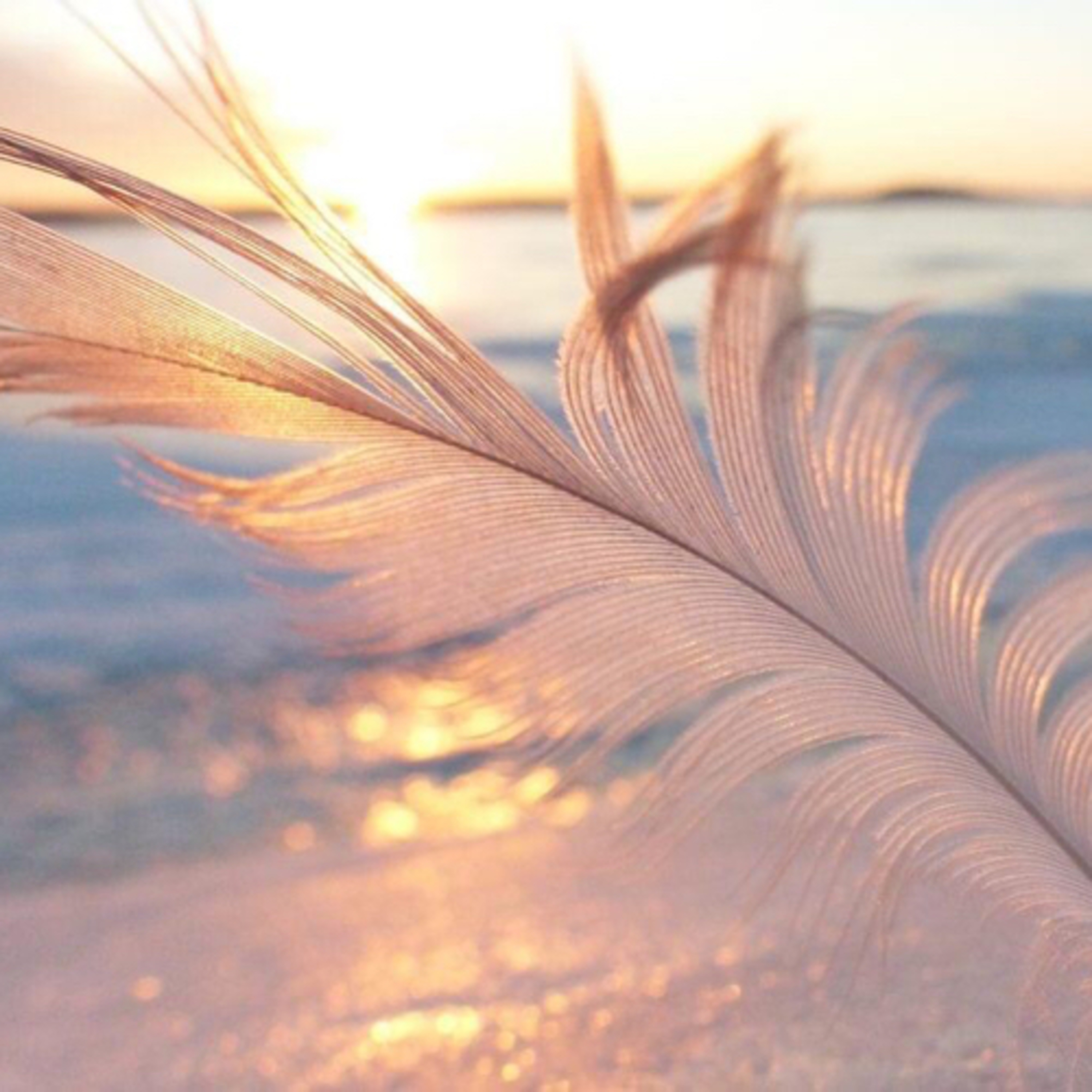 Didier Destouches/ L’ANTHOLOGIE SOLAIRE 🌞