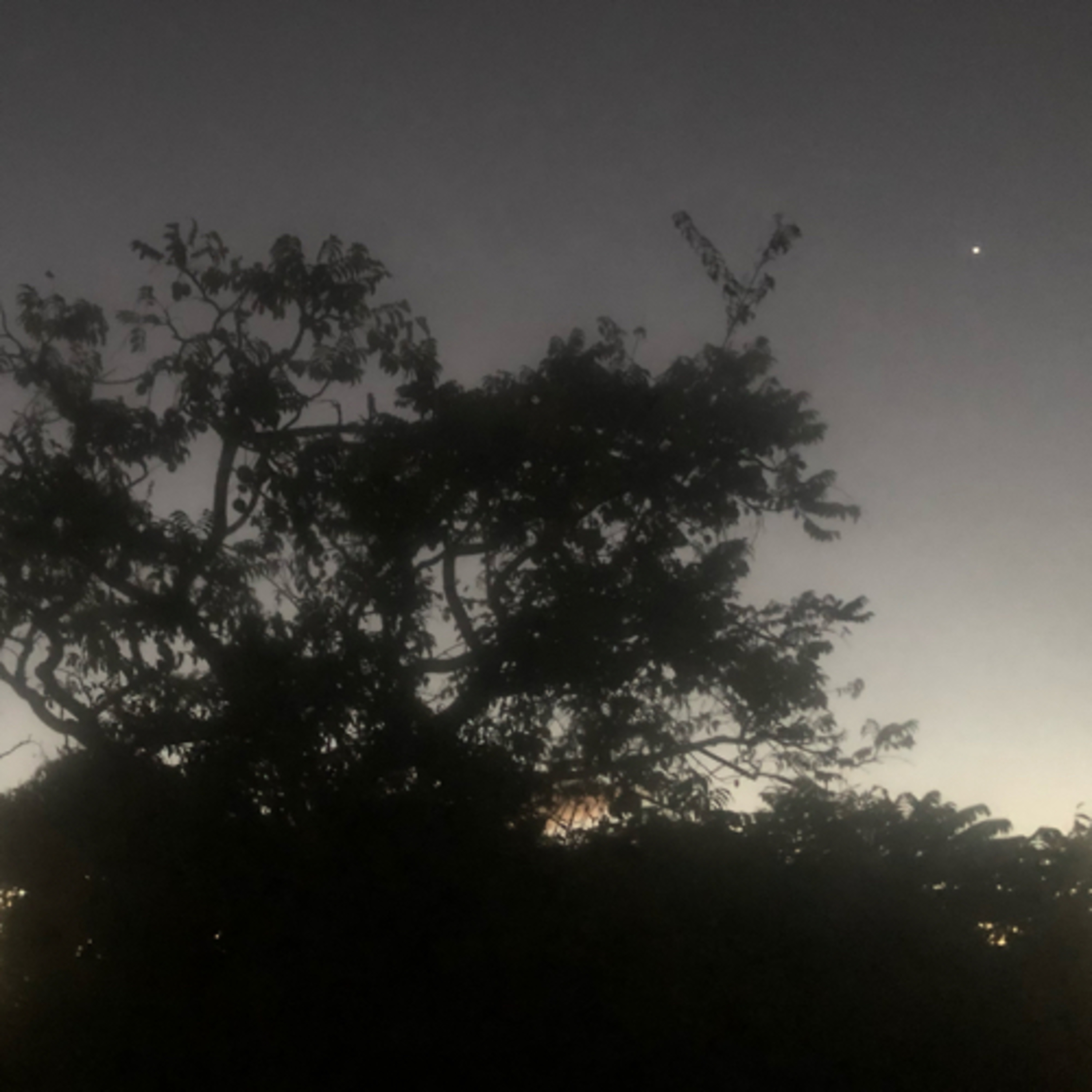 Didier Destouches/ L’ANTHOLOGIE SOLAIRE 🌞