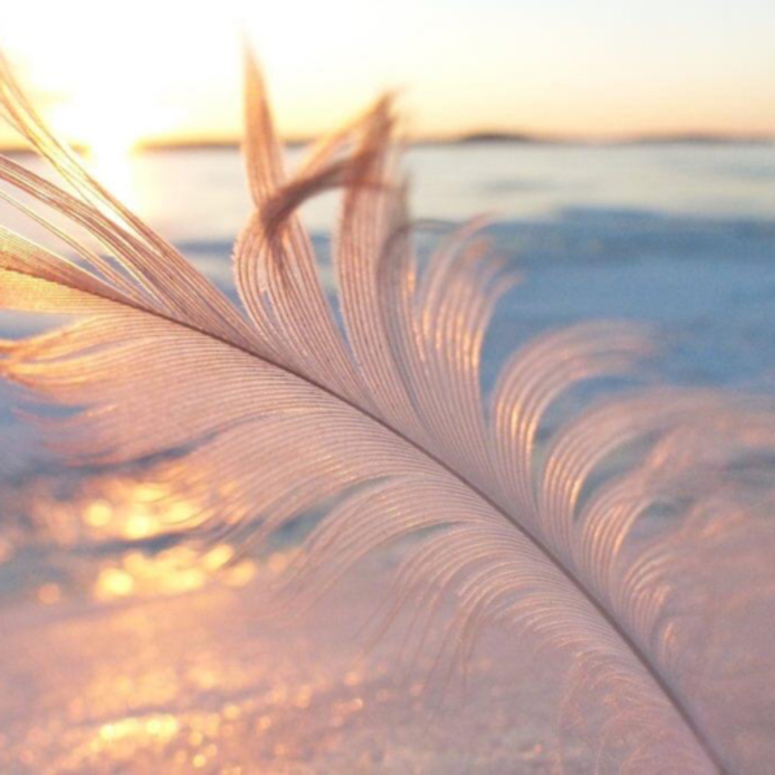 Didier Destouches/ L’ANTHOLOGIE SOLAIRE 🌞