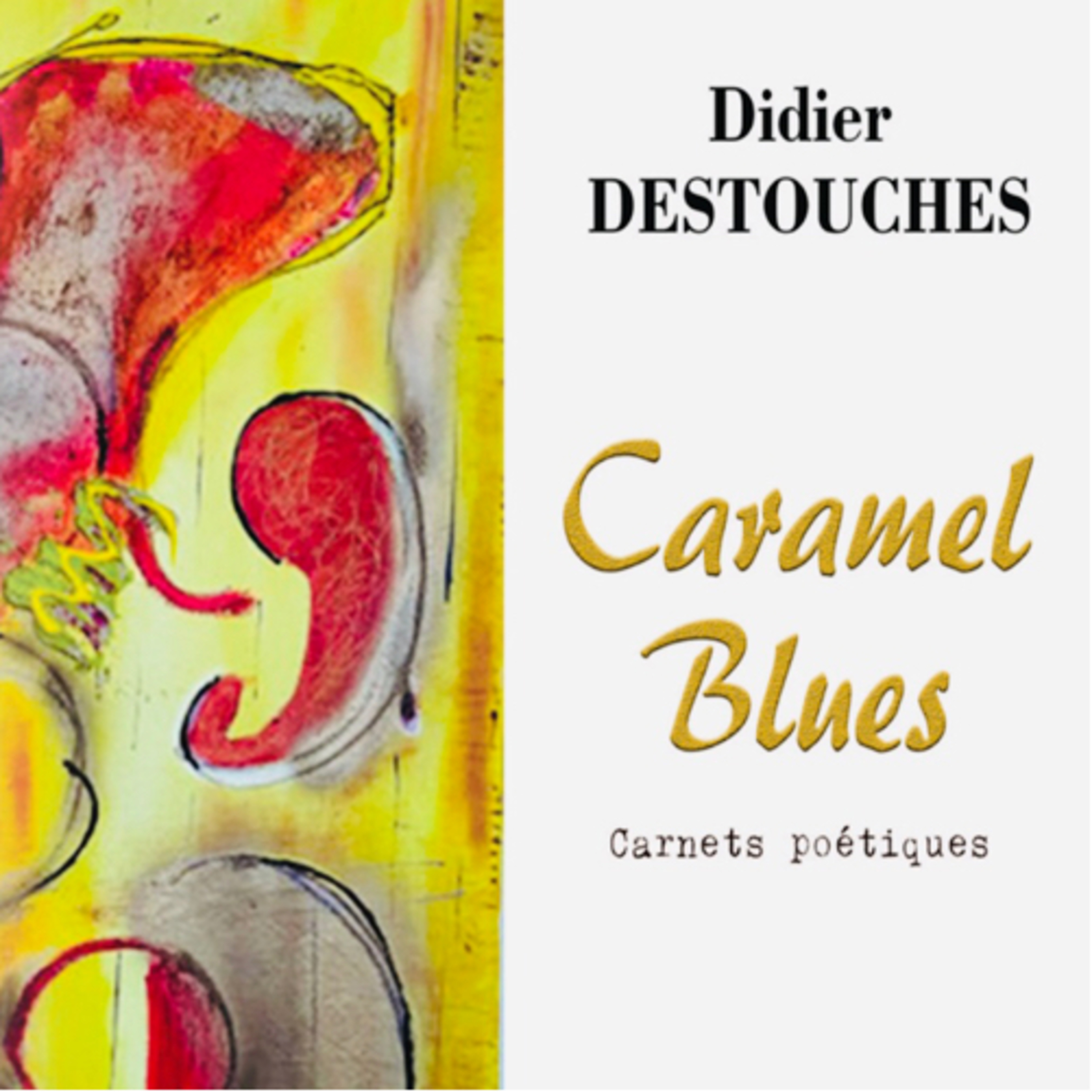 Didier Destouches/ L’ANTHOLOGIE SOLAIRE 🌞