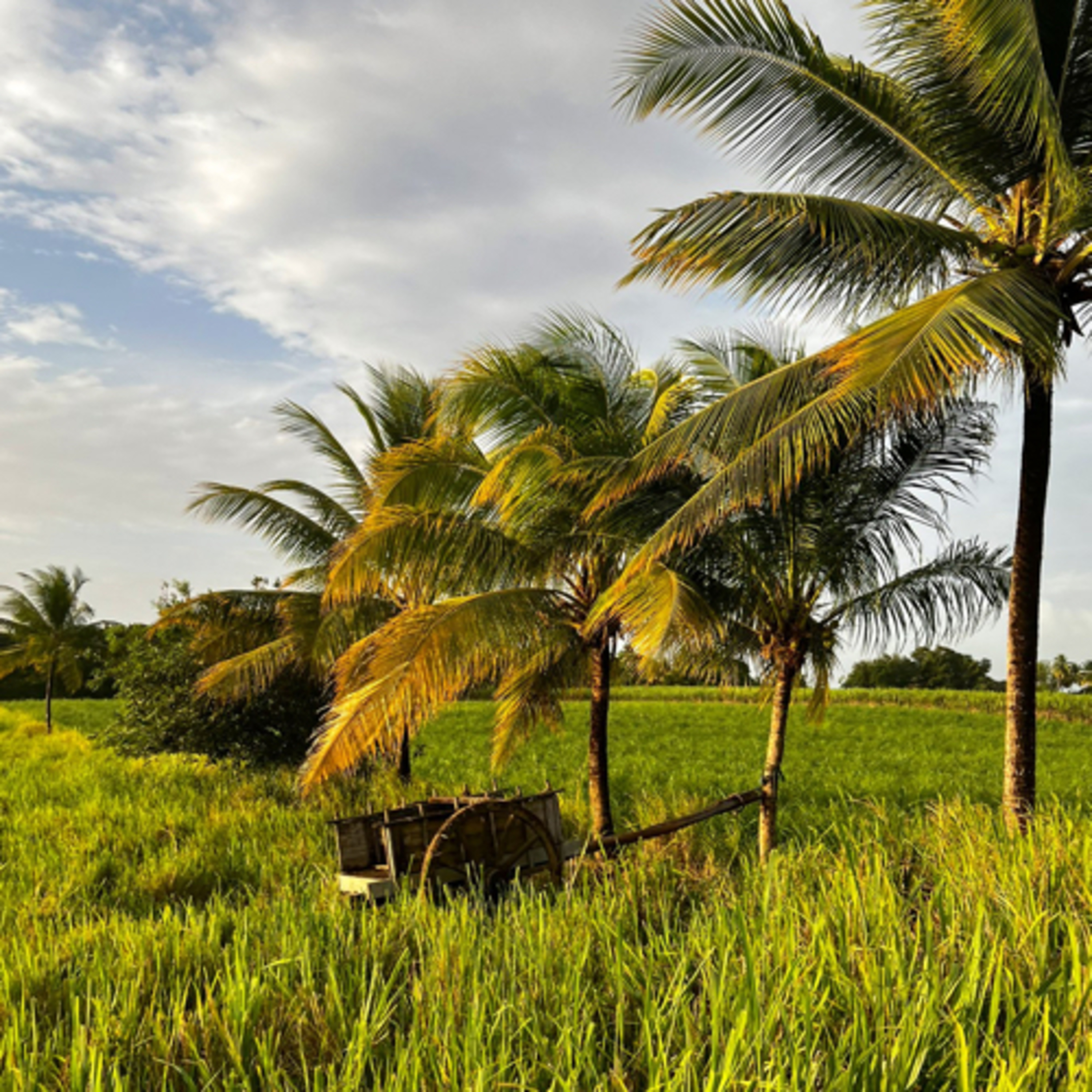 Didier Destouches/ L’ANTHOLOGIE SOLAIRE 🌞