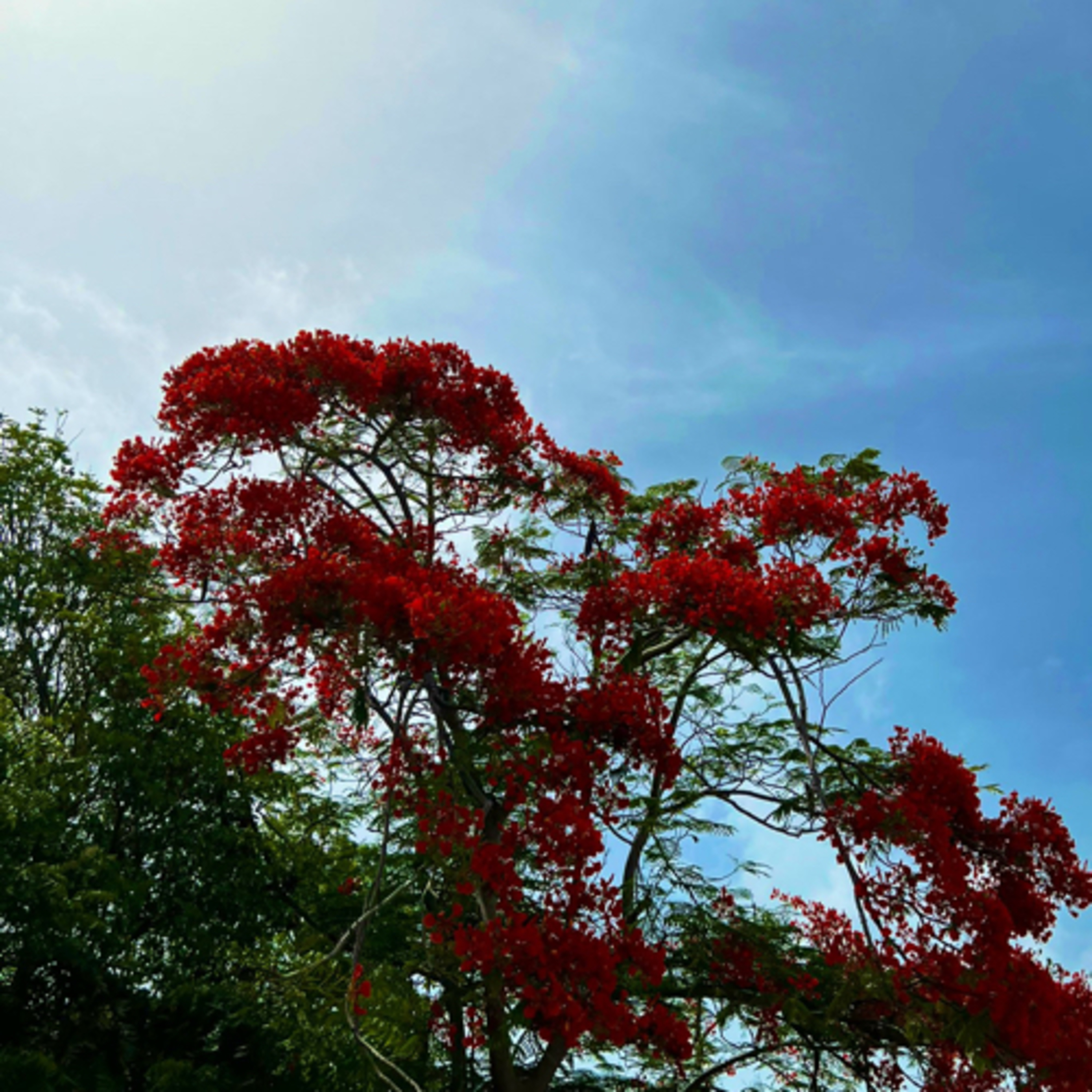 Didier Destouches/ L’ANTHOLOGIE SOLAIRE 🌞