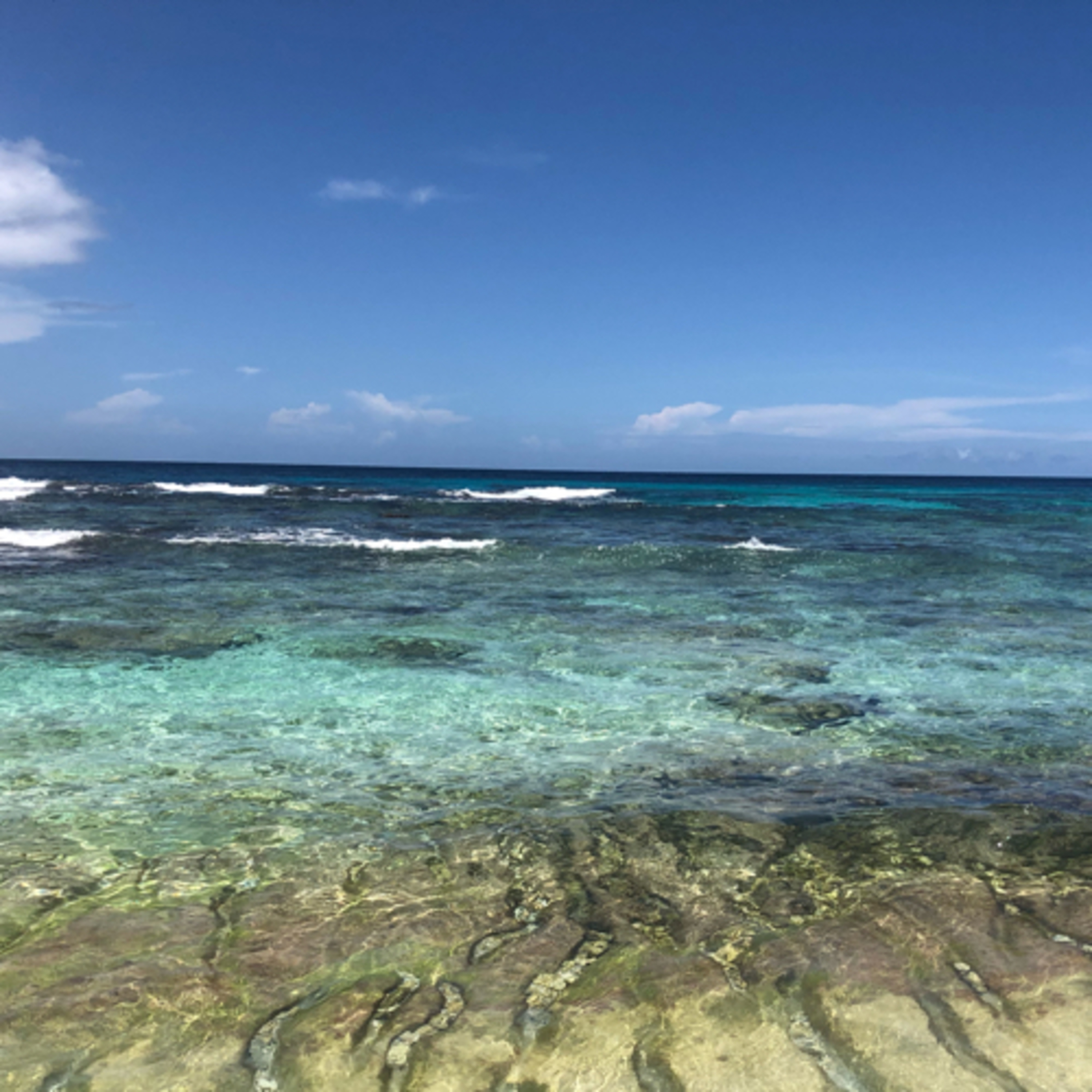 Didier Destouches/ L’ANTHOLOGIE SOLAIRE 🌞