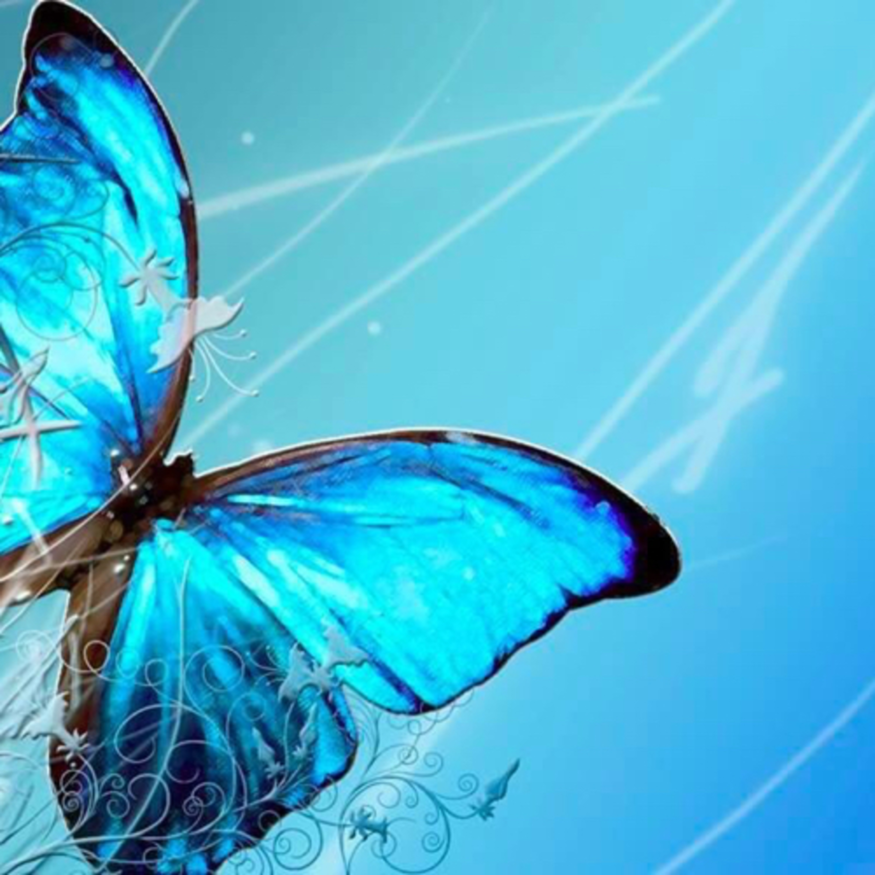 Didier Destouches/ L’ANTHOLOGIE SOLAIRE 🌞