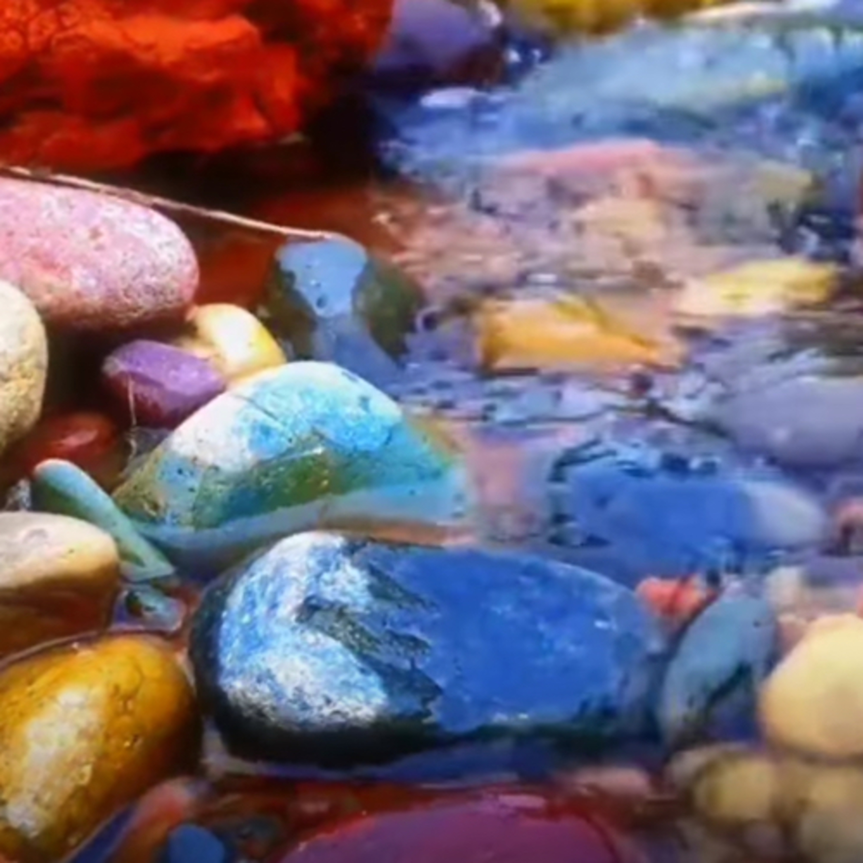 Didier Destouches/ L’ANTHOLOGIE SOLAIRE 🌞