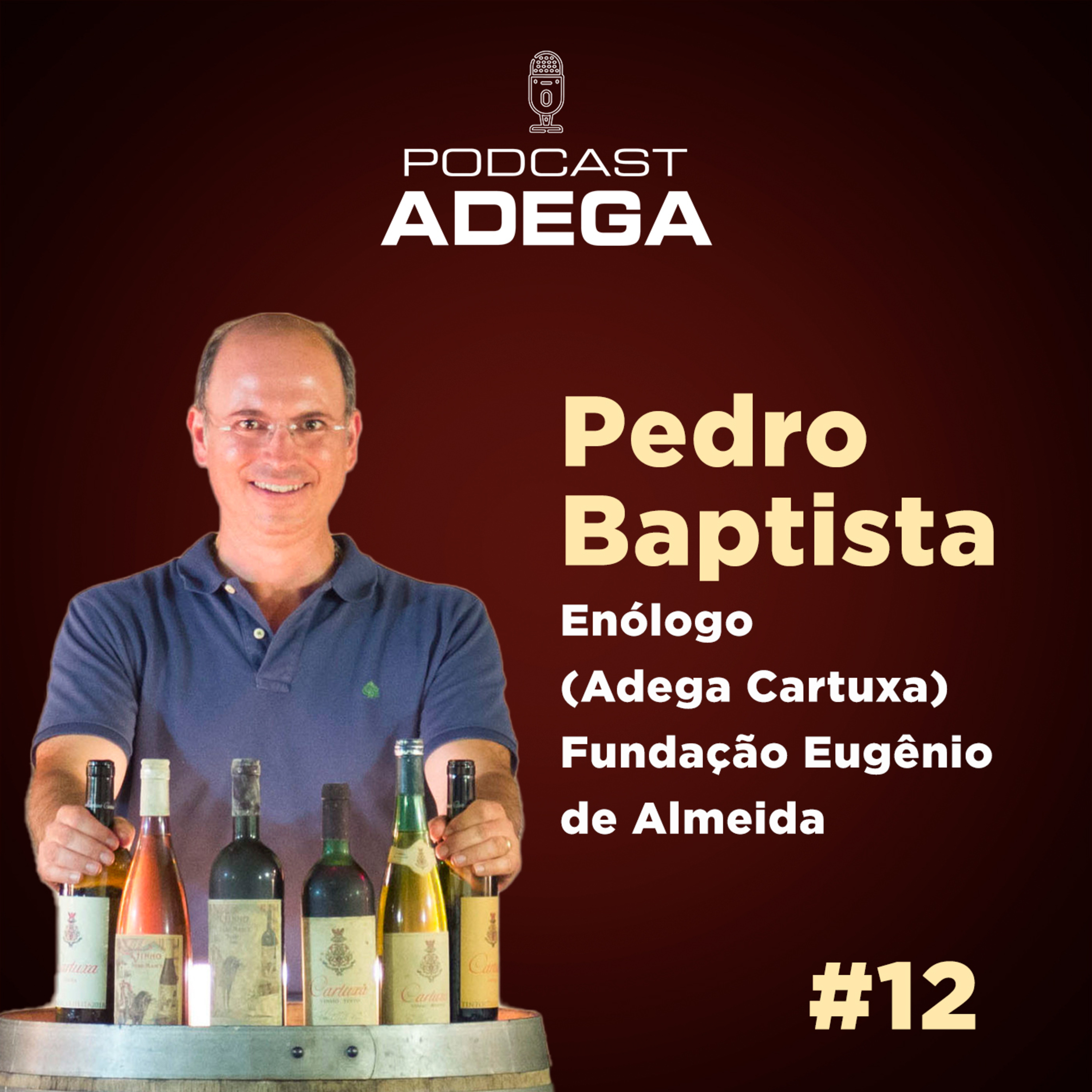 Revista ADEGA