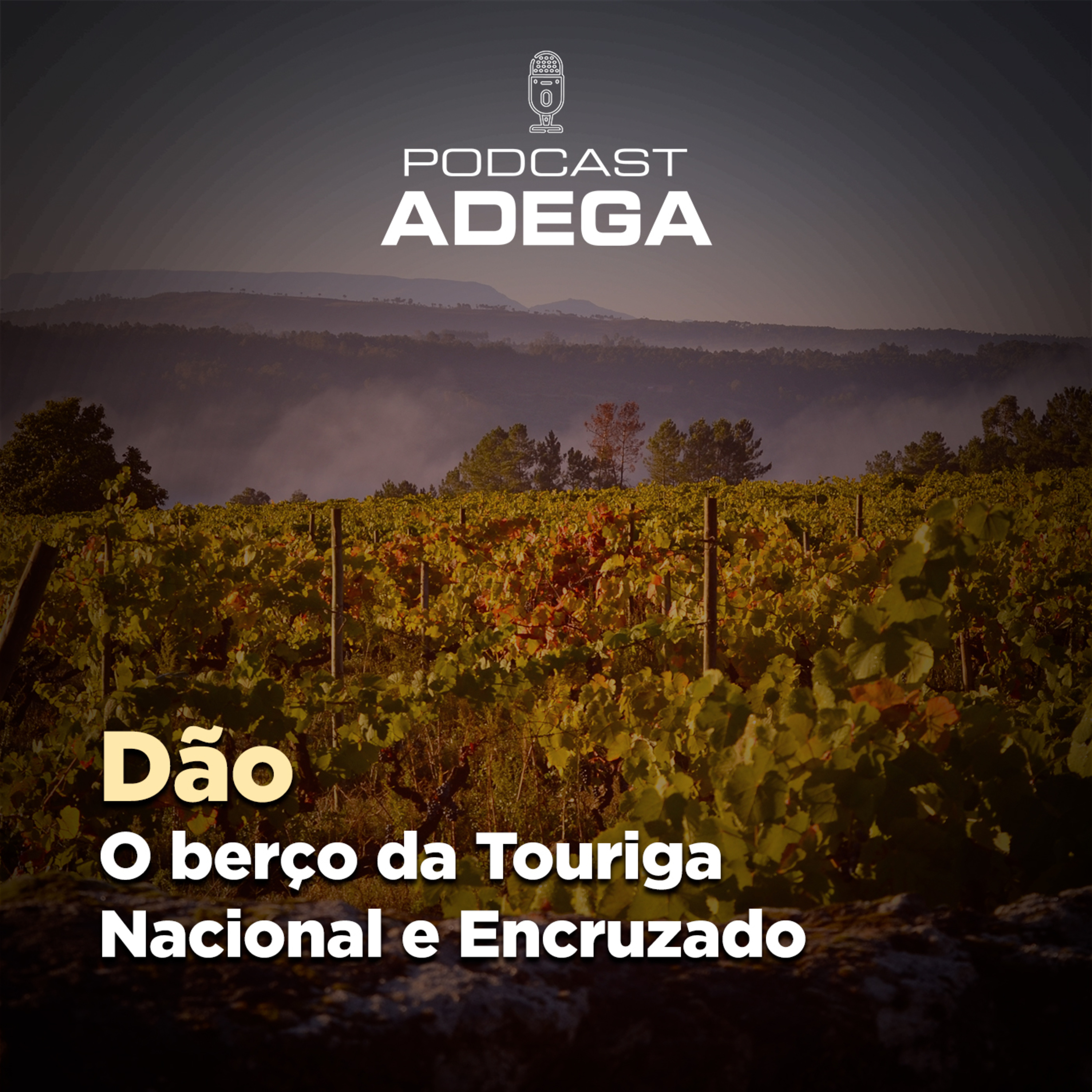 Revista ADEGA