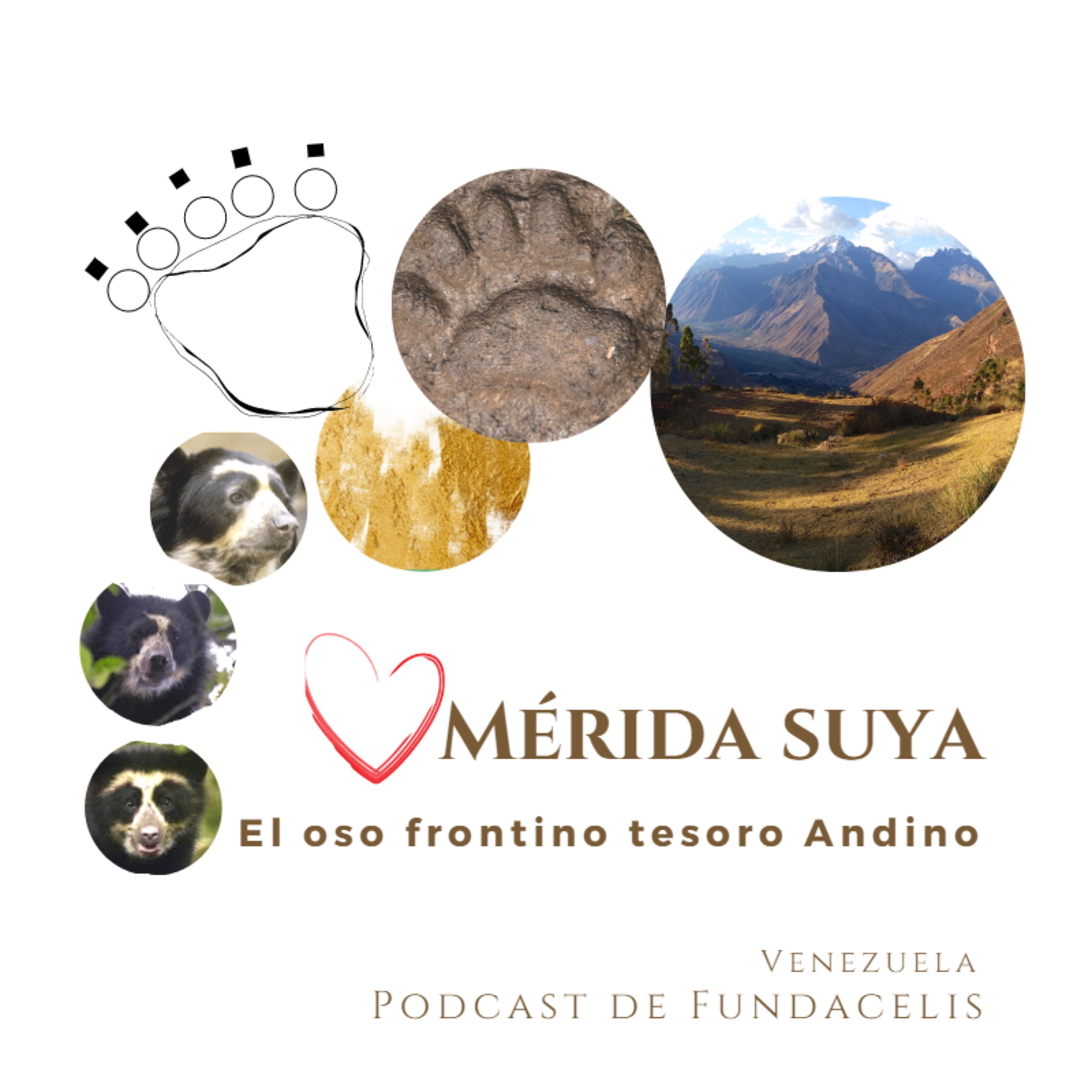 Mérida Suya