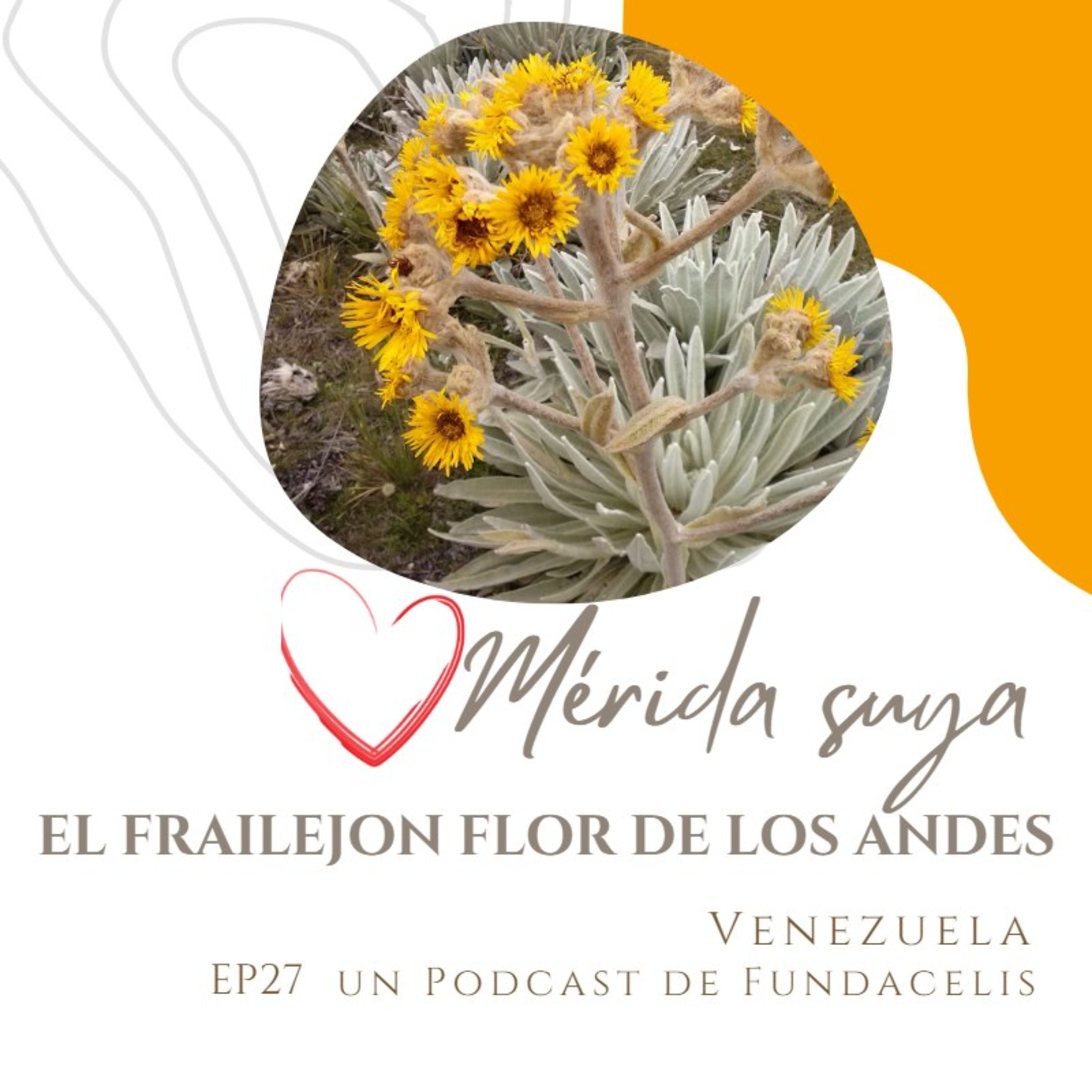 Mérida Suya