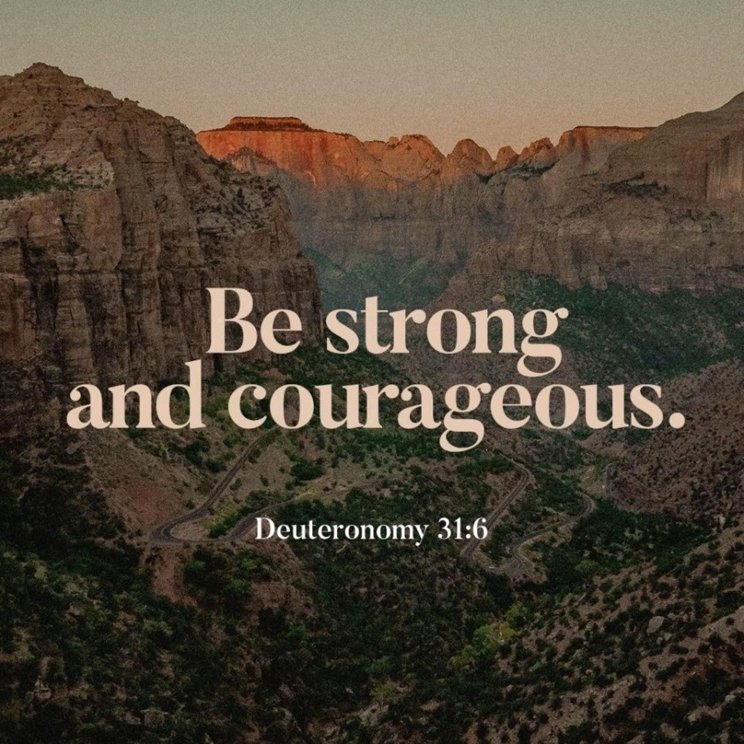 #369Mindset_DetoxTV