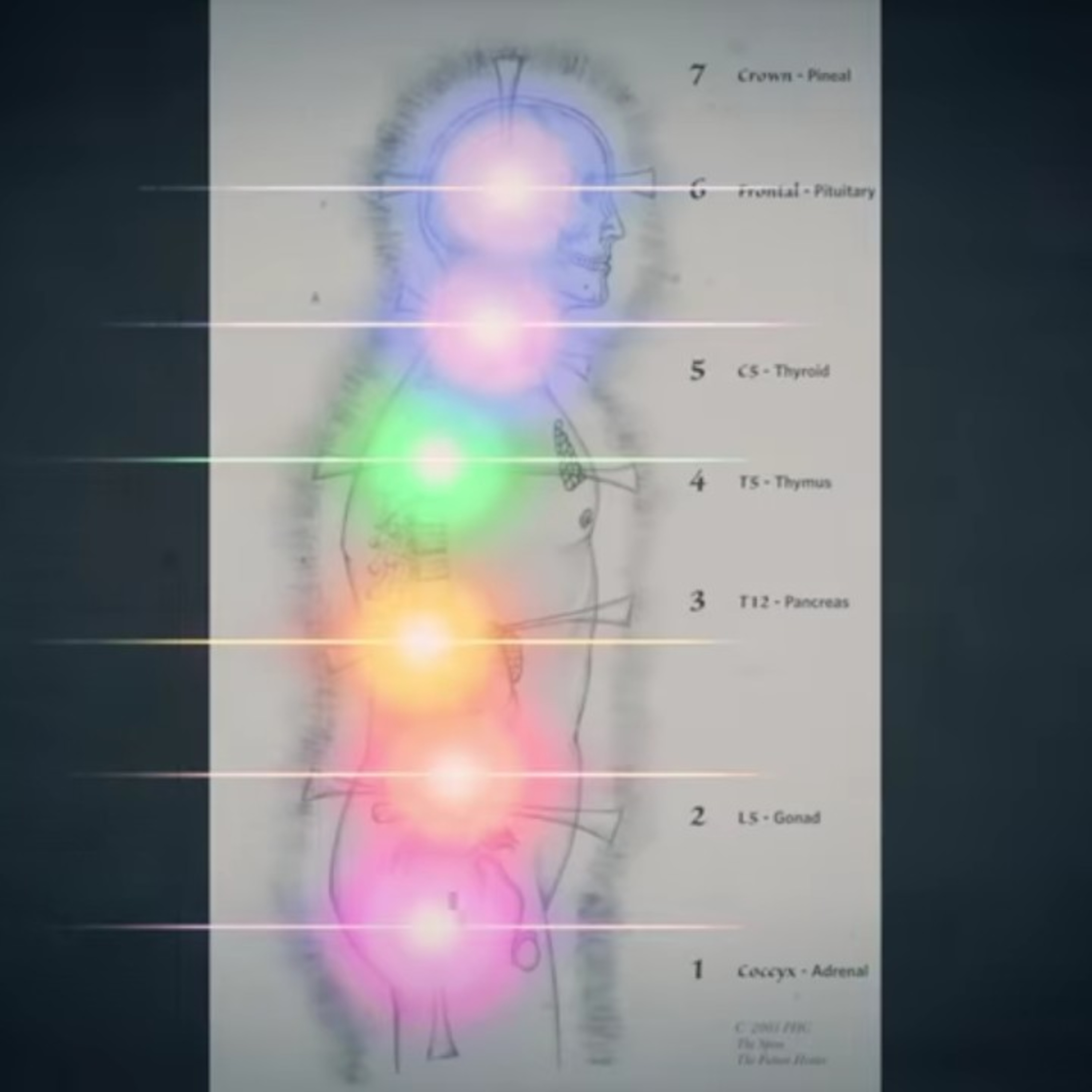 #369Mindset_DetoxTV