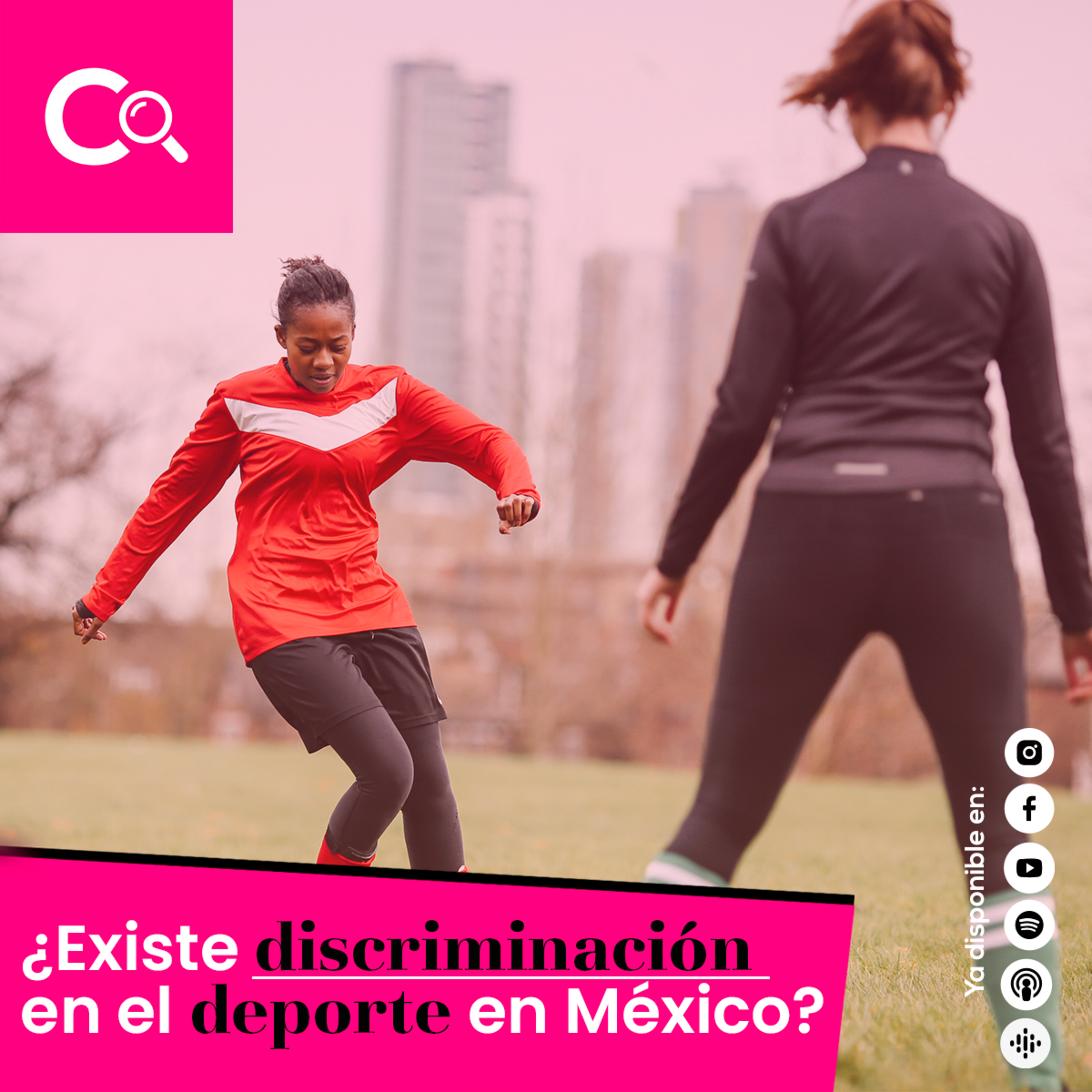 Curiosistas