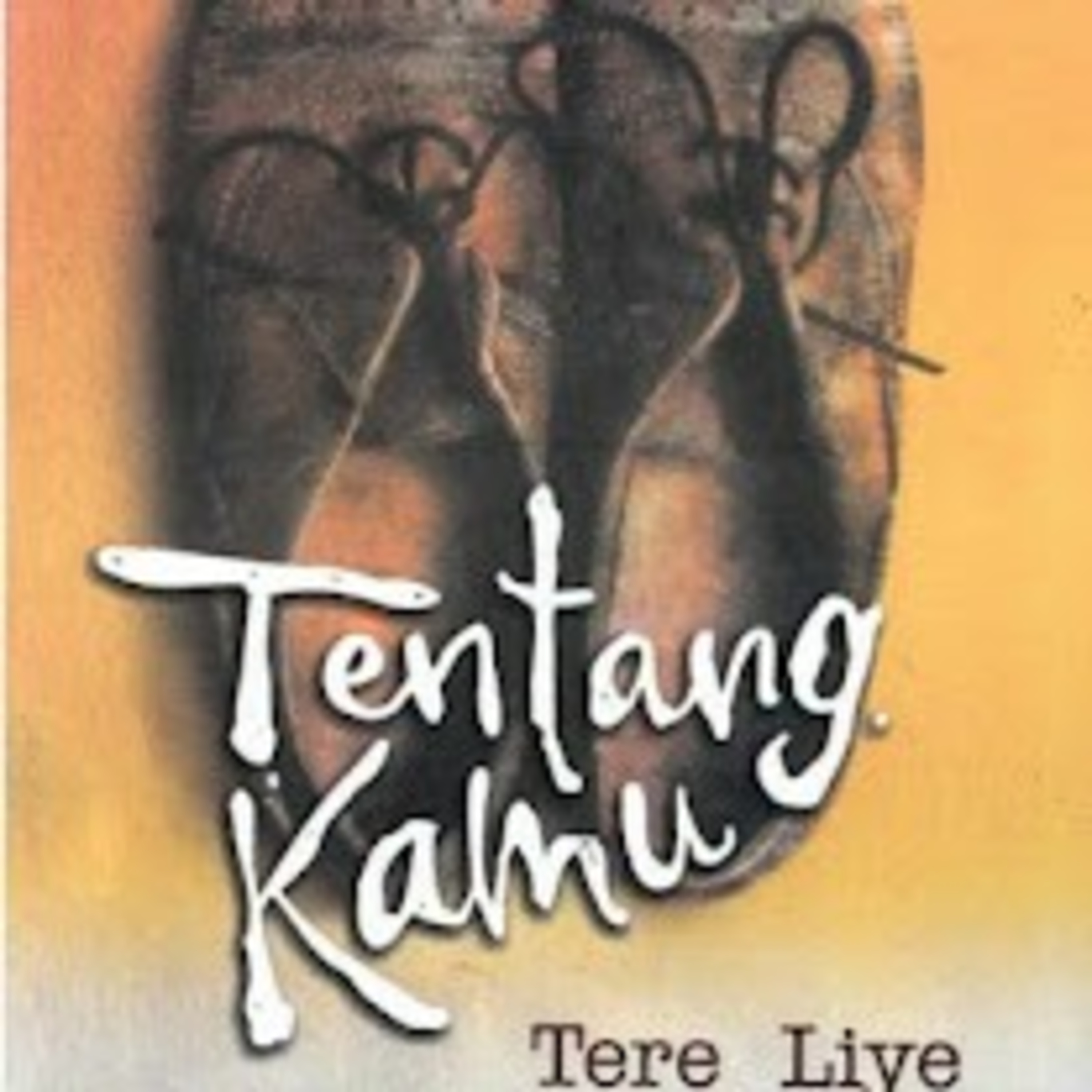 13 | Tentang Kamu - Tere Liye 