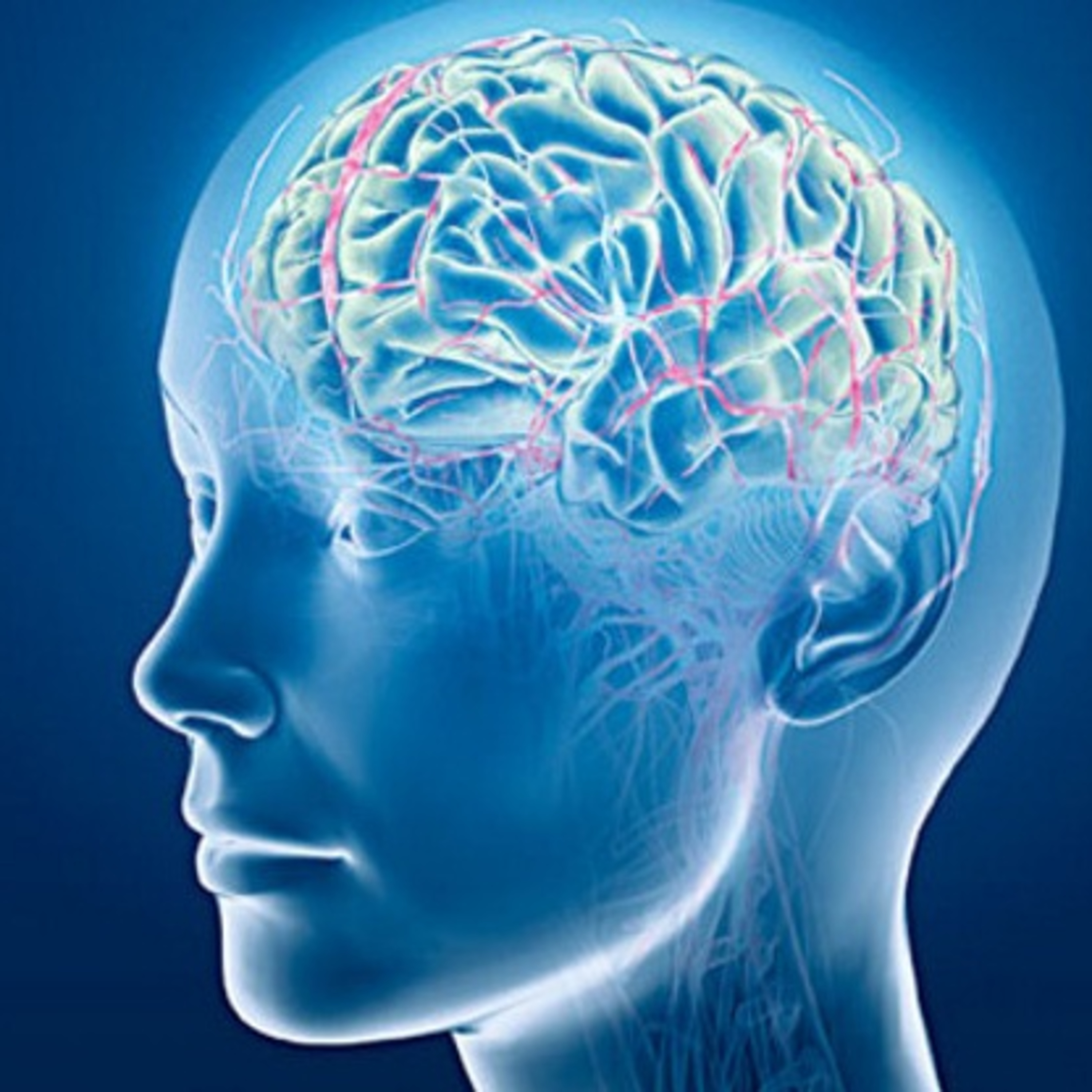 DREAM BIG-DO NOT GIVE UP!