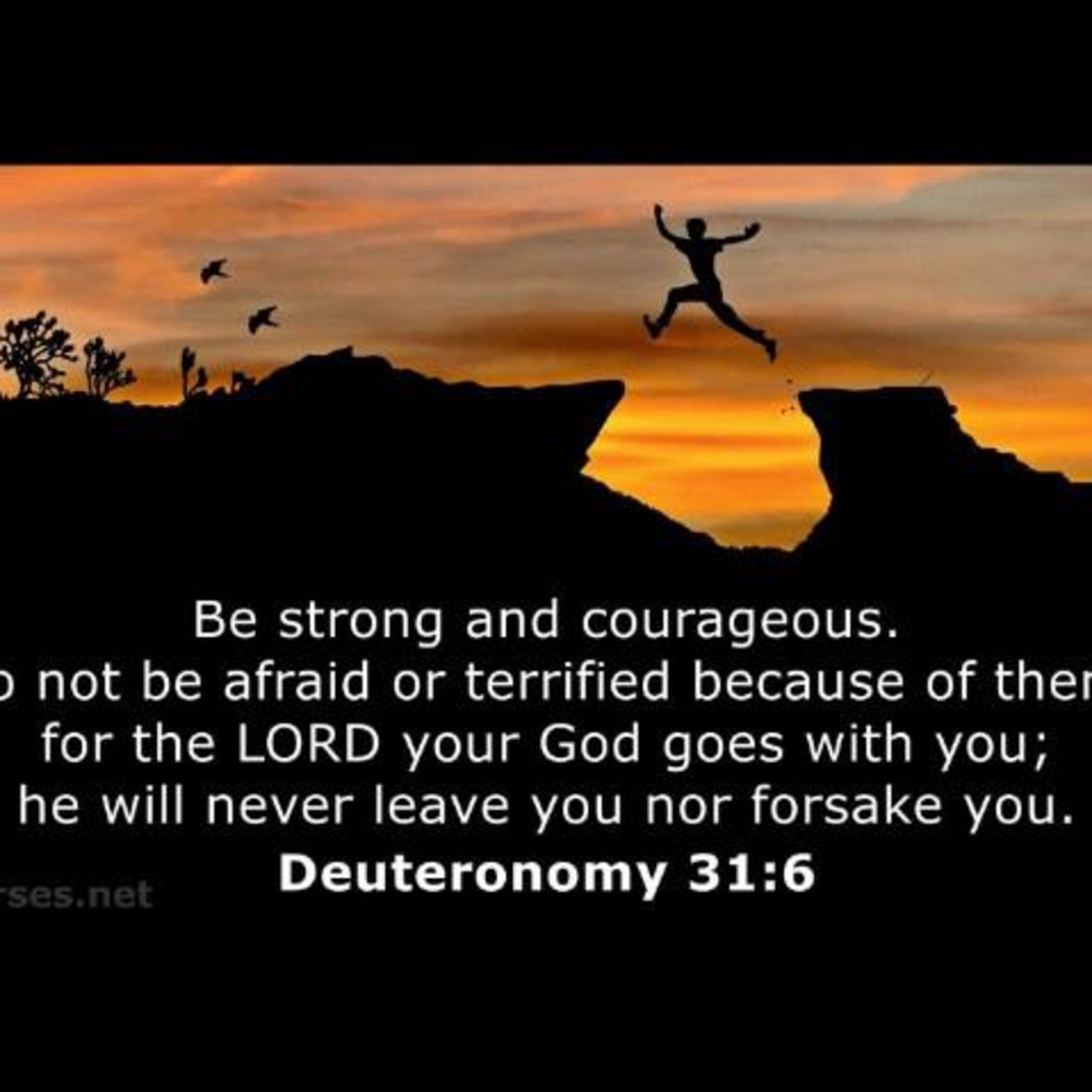 DREAM BIG-DO NOT GIVE UP!