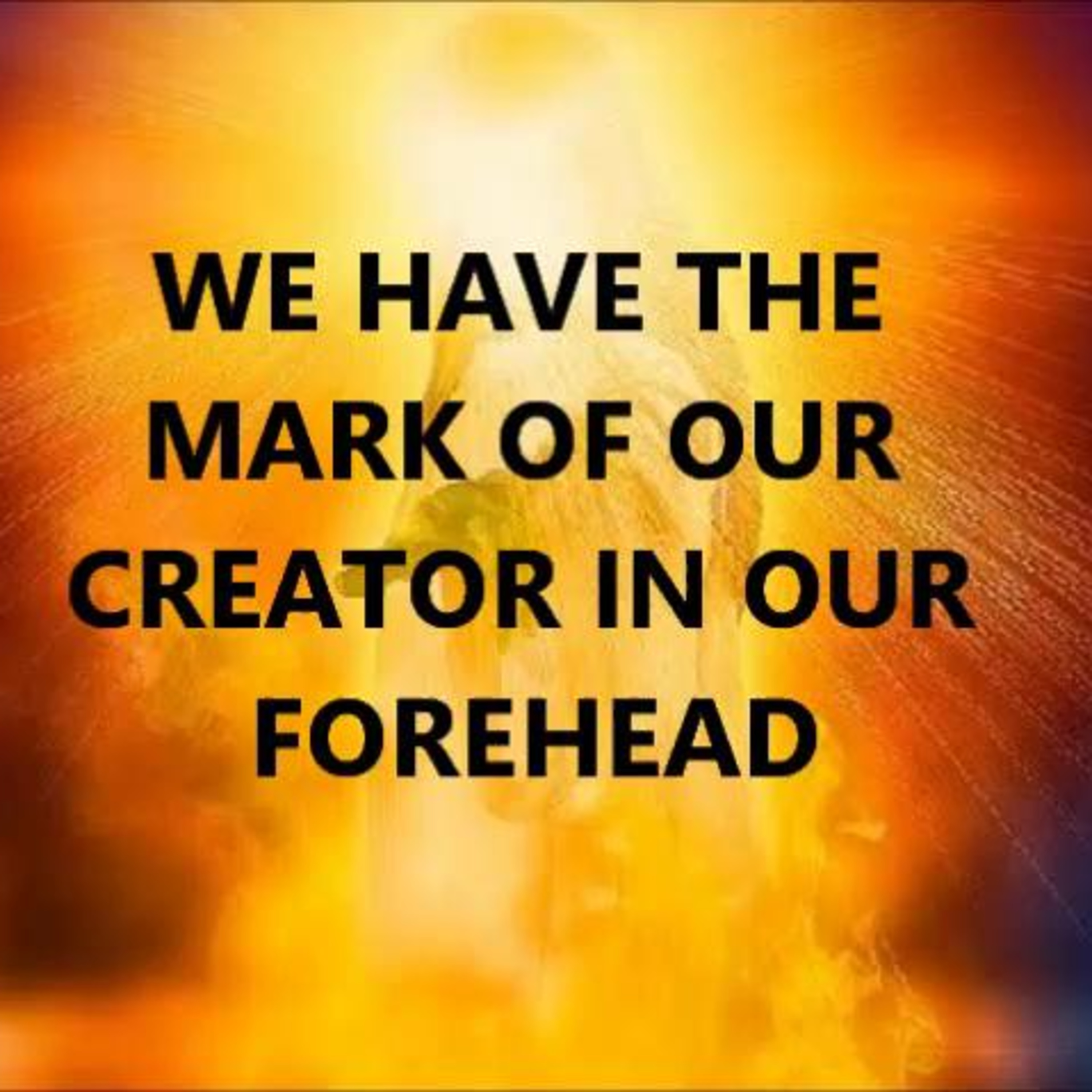 DREAM BIG-DO NOT GIVE UP!