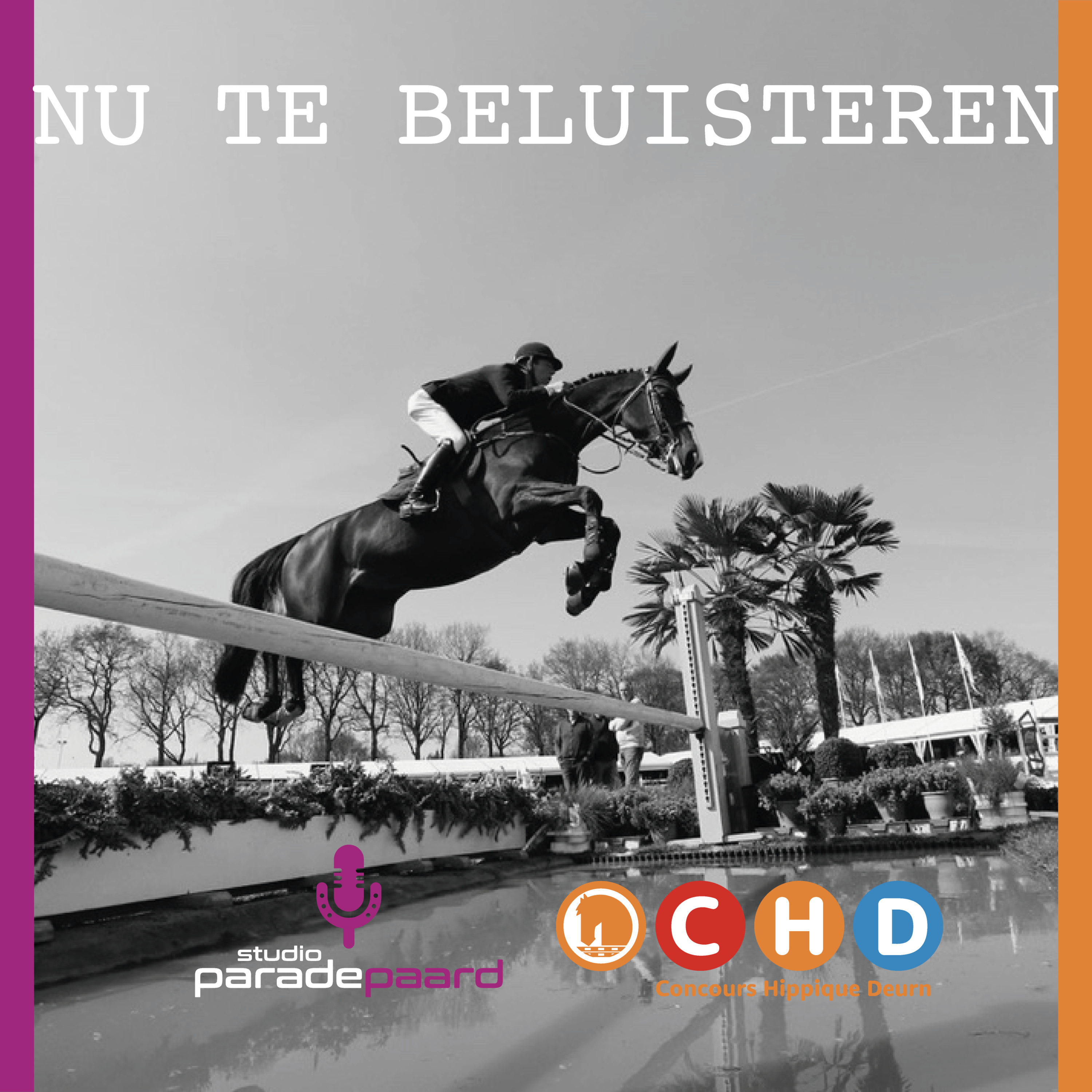 Studio Paradepaard - De Podcast