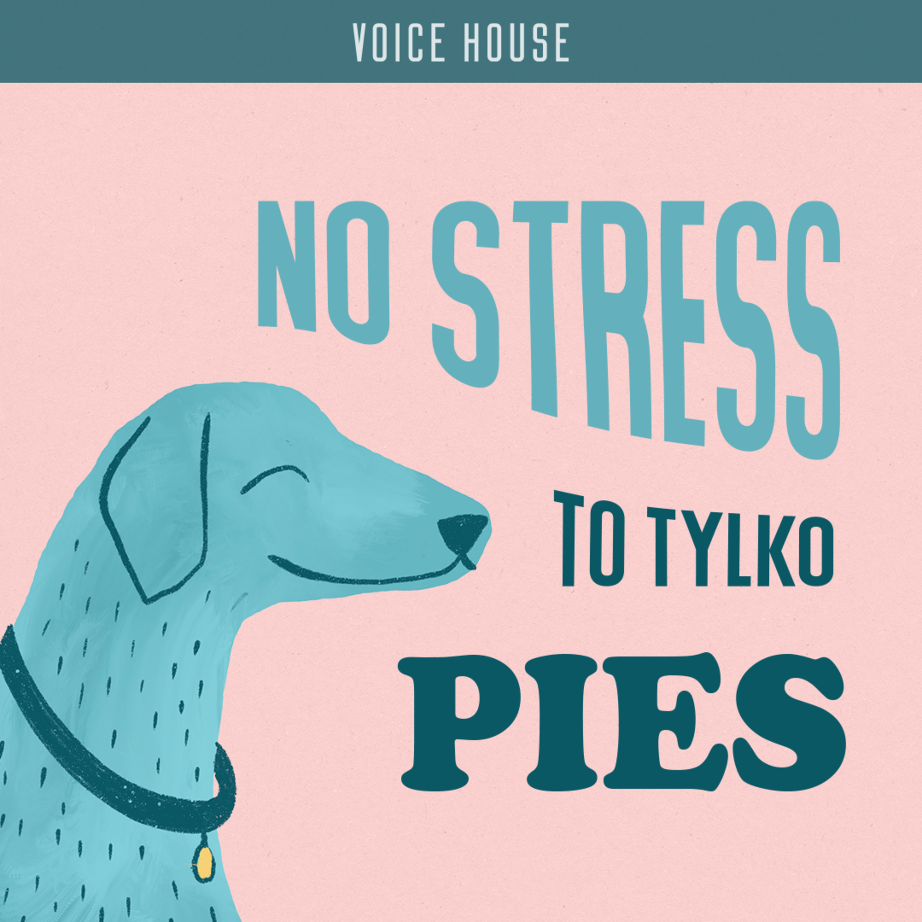 No stress, to tylko pies