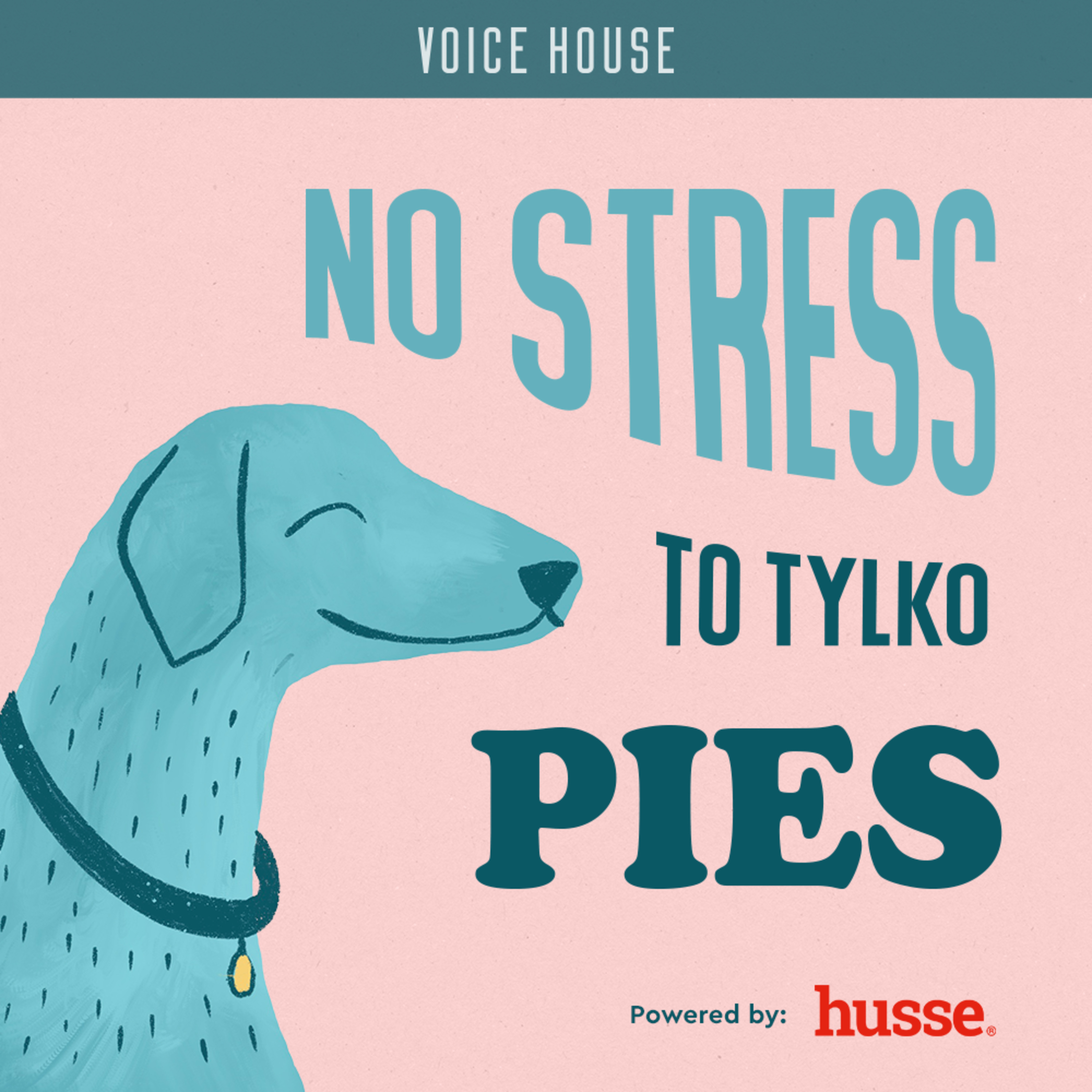 No stress, to tylko pies