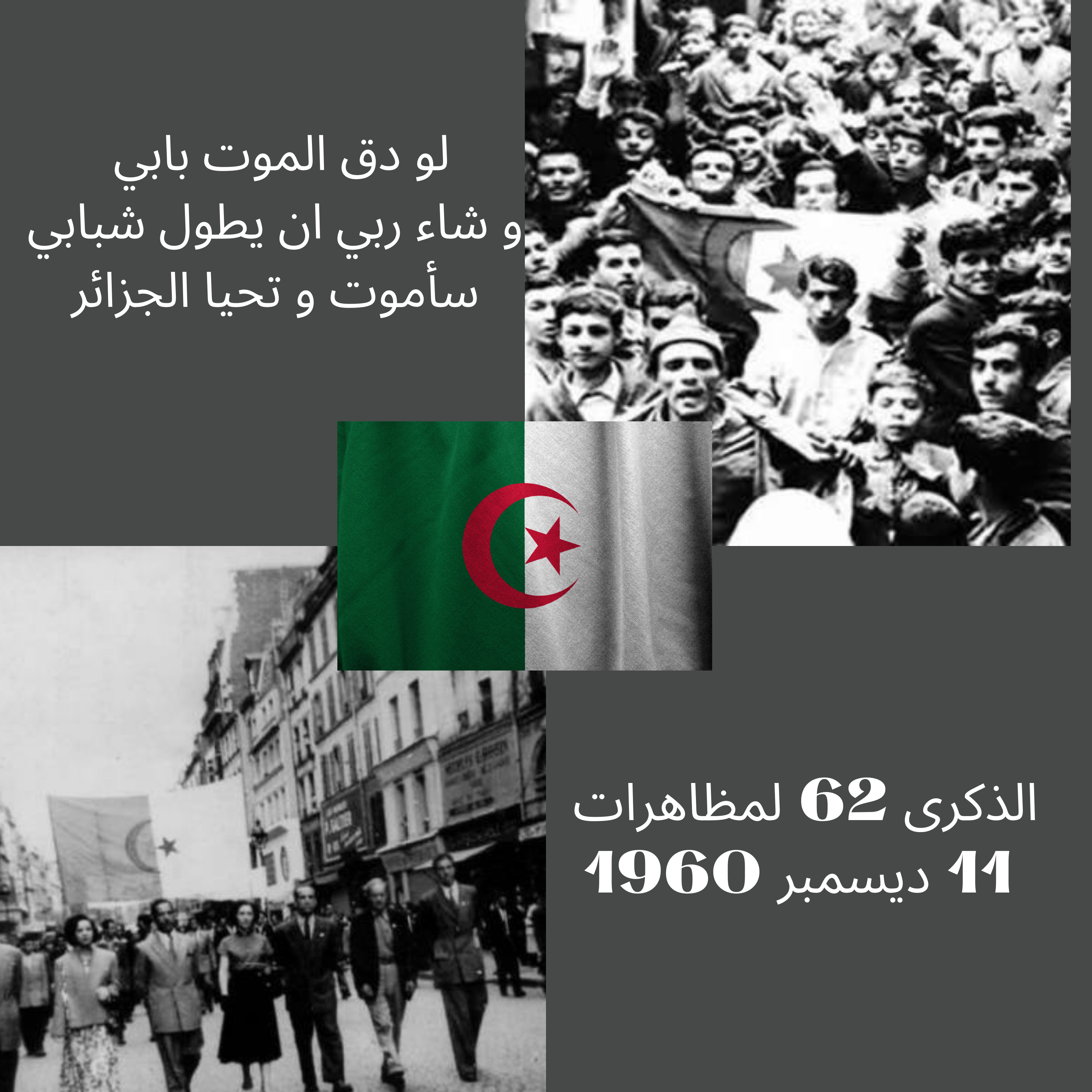 #47-The 62nd anniversary of the demonstrations of December 11, 1960 :الذكرى 62 لمظاهرات 11 ديسمبر 1960 episode artwork