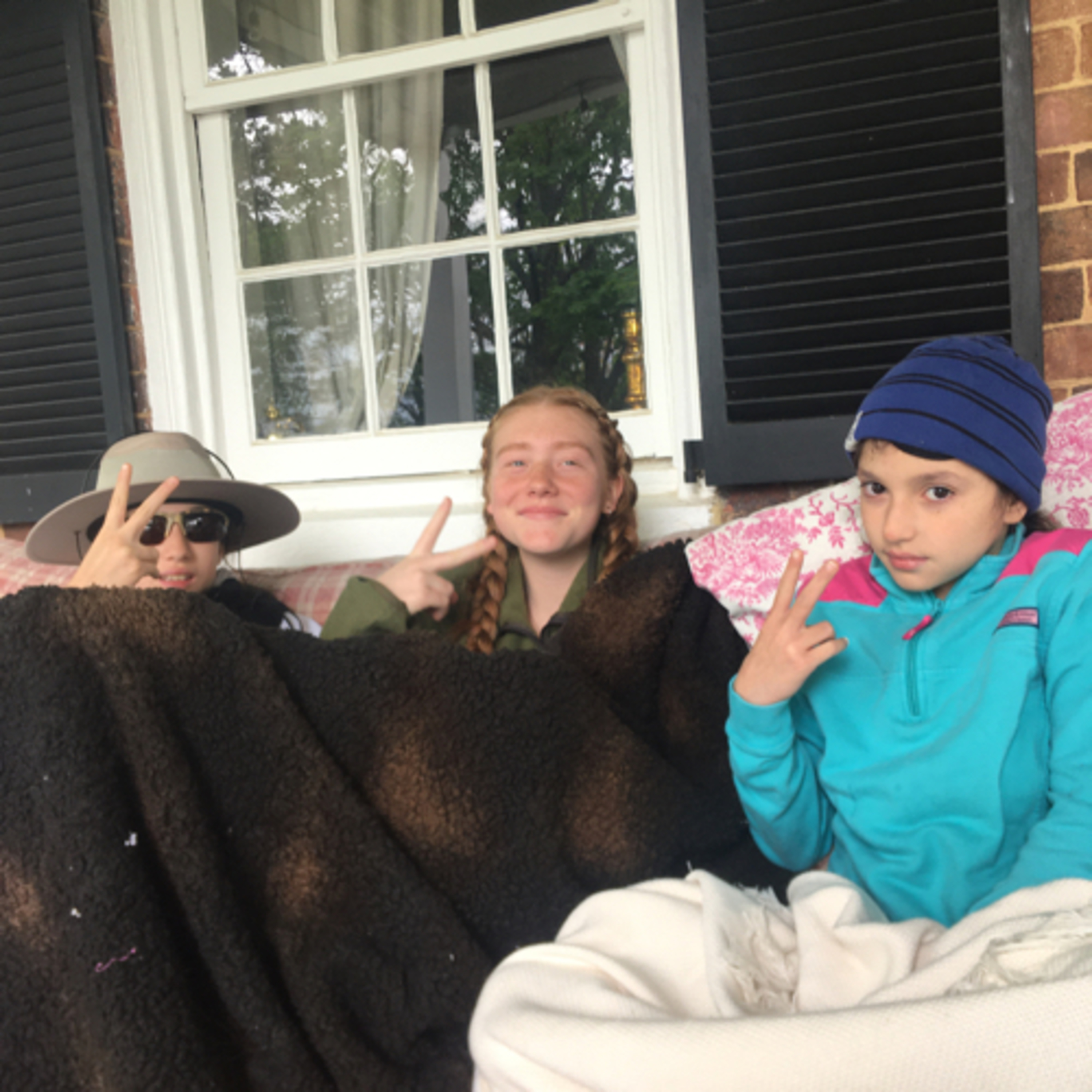 You are NOT a dolphin