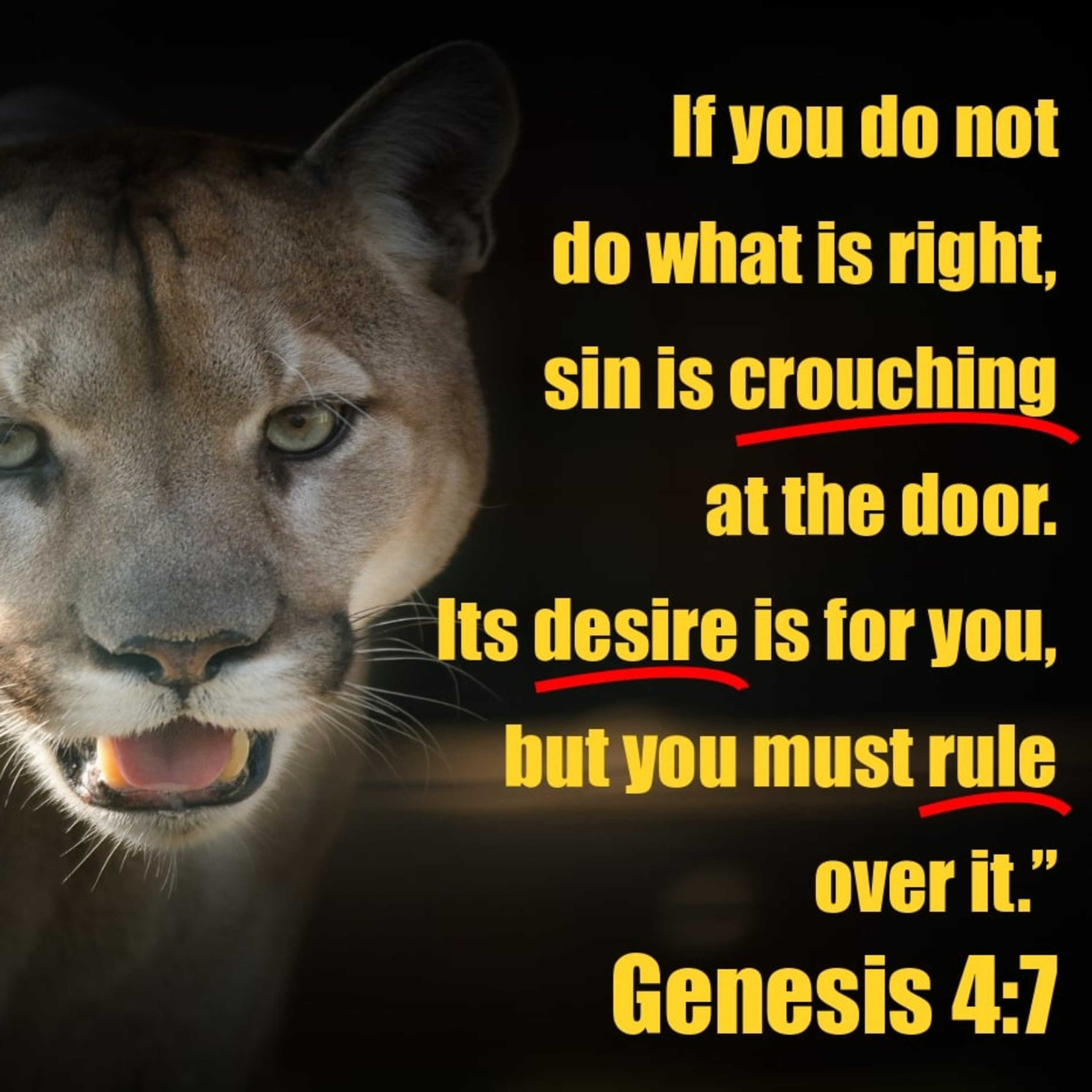 Genesis 4:9-16 | The Folly of Anger, Part 2 episode artwork