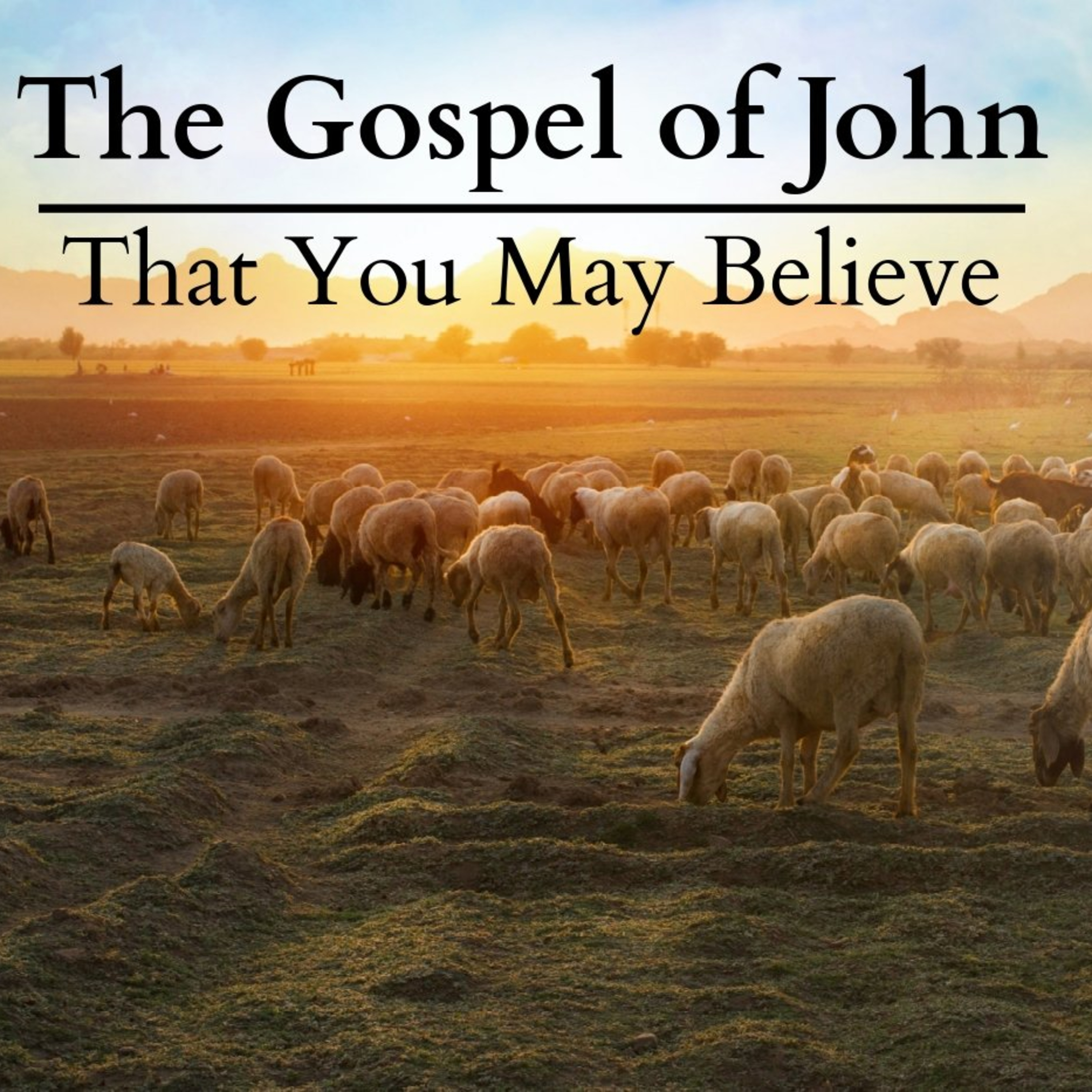 John 2:1-12 | The Wine Sign episode artwork
