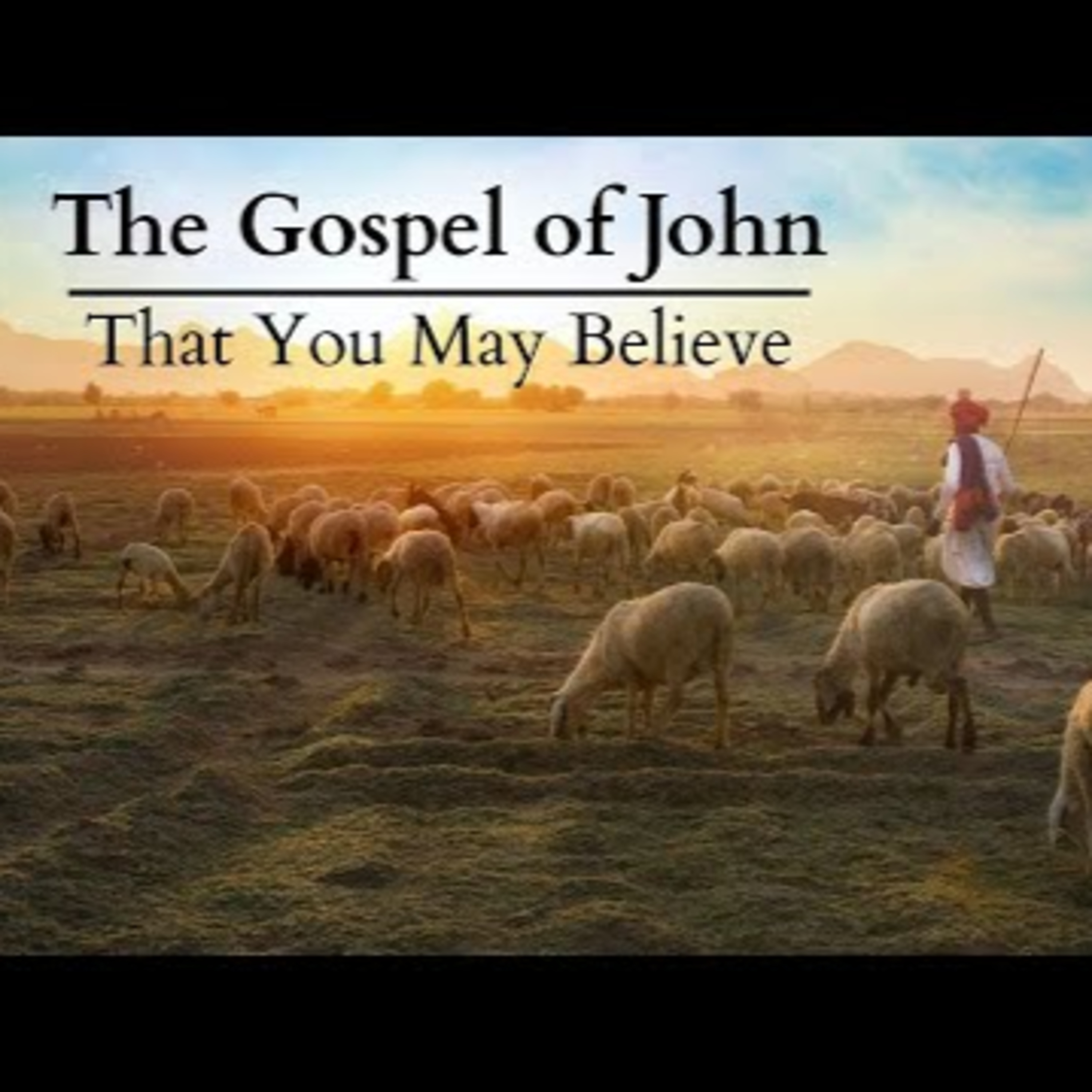 John 8:32-51 | Who is this Jesus? episode artwork