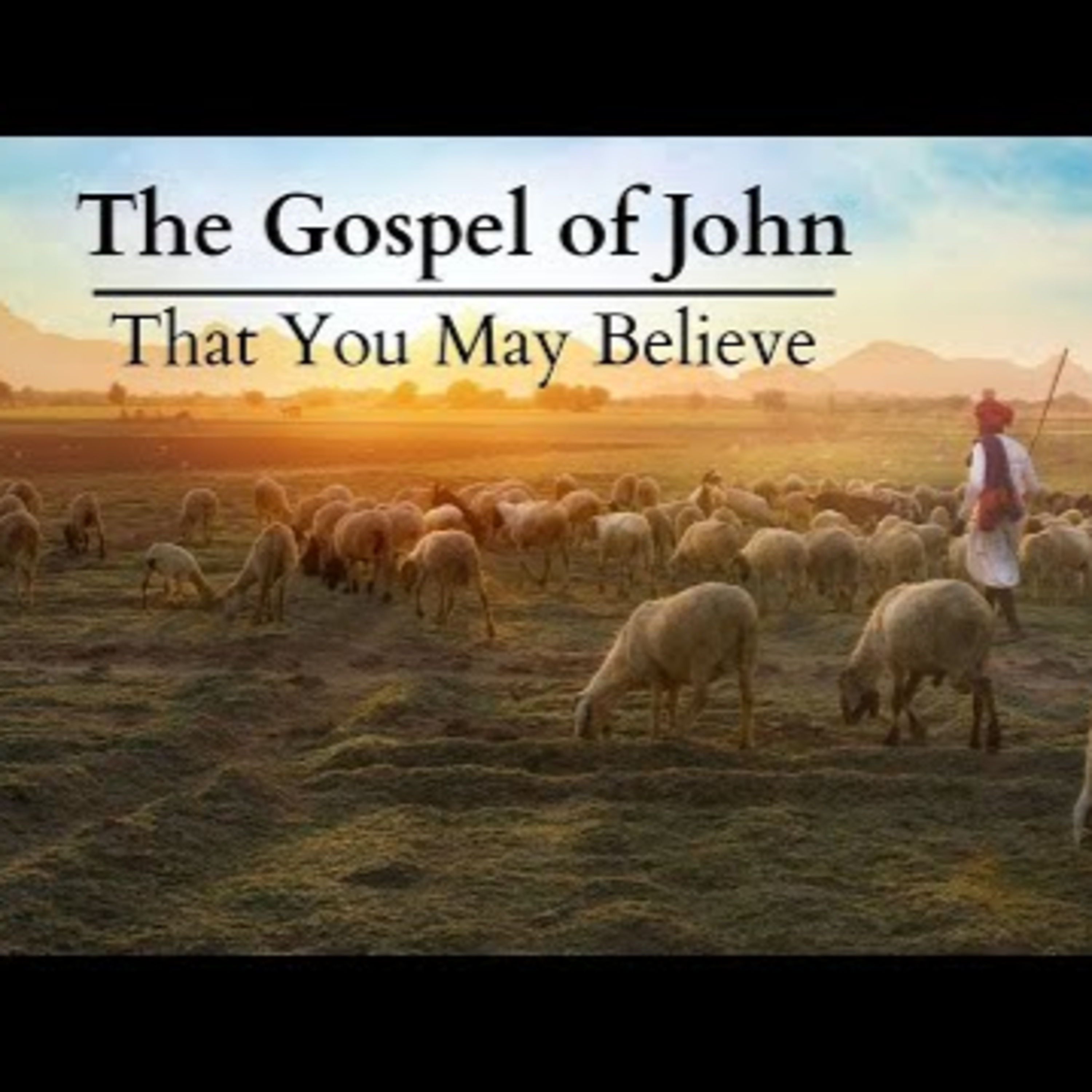 John 10:22-42 | The Shepherd and the Sheep episode artwork