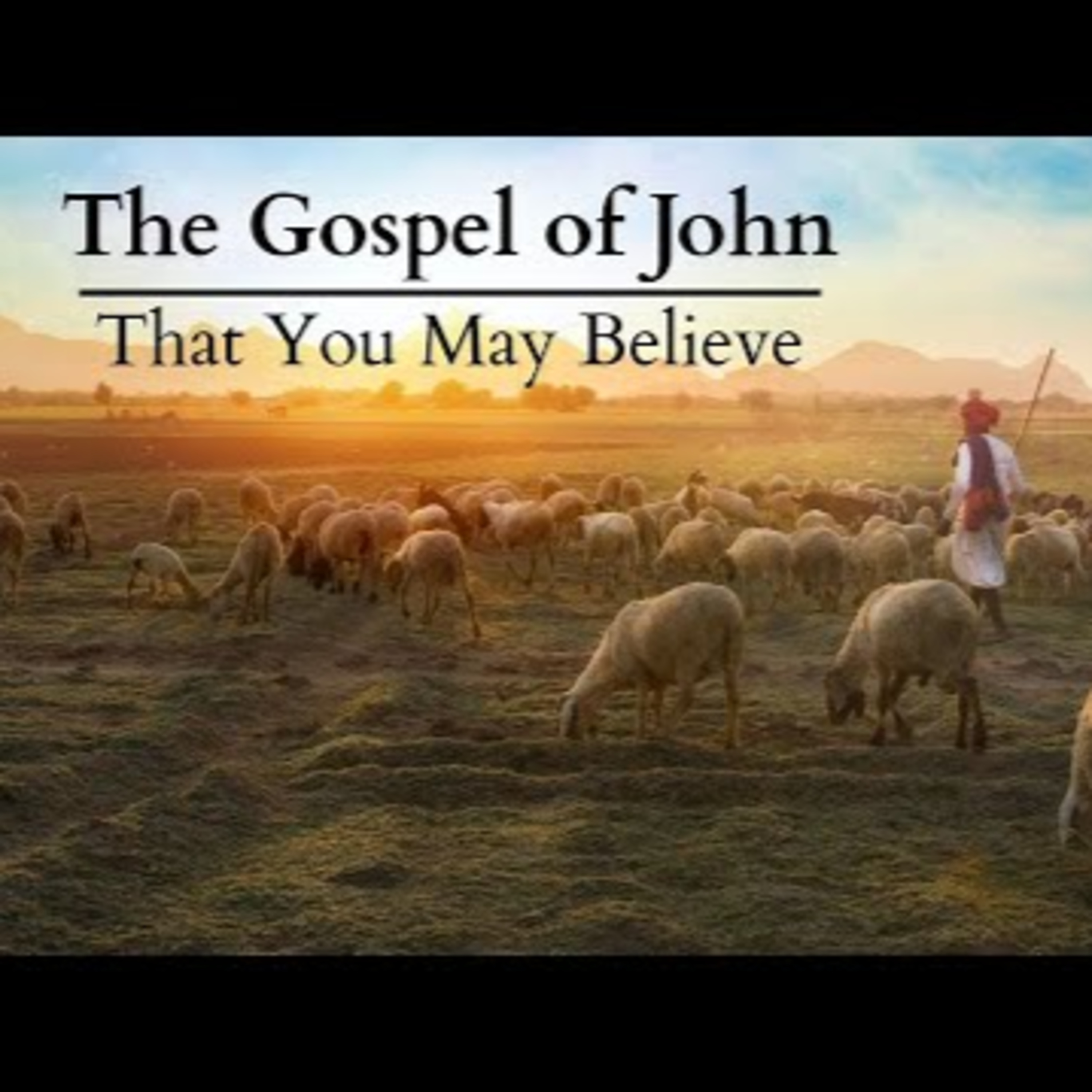 John 11:1-16 | That You May Believe episode artwork