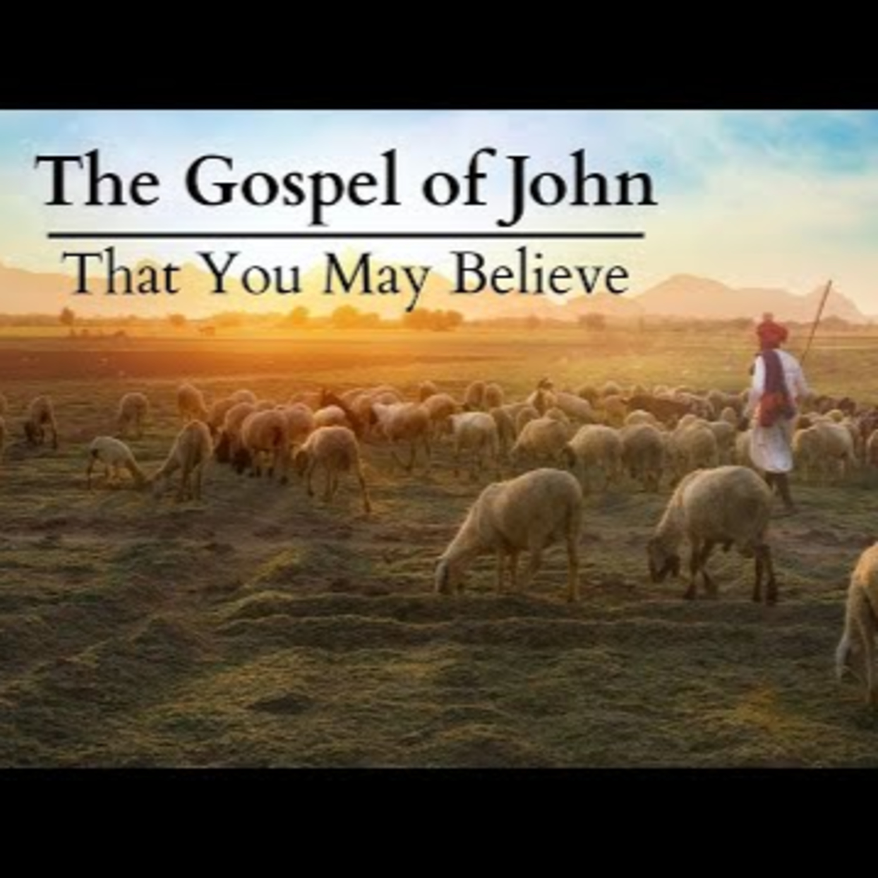 John 10:1-21 | The Sheep and the Sheepfold episode artwork