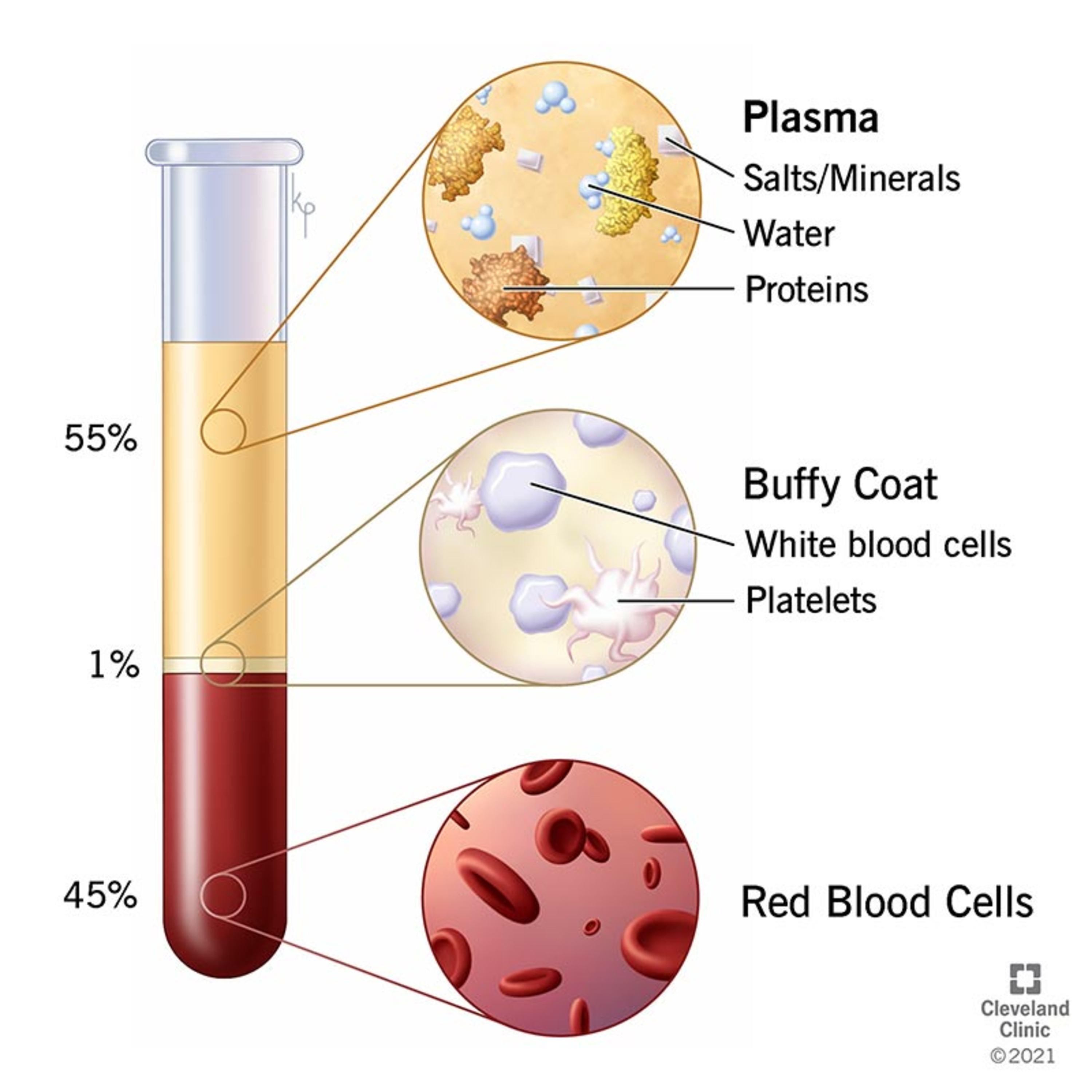Plasma clinics vape shops episode artwork