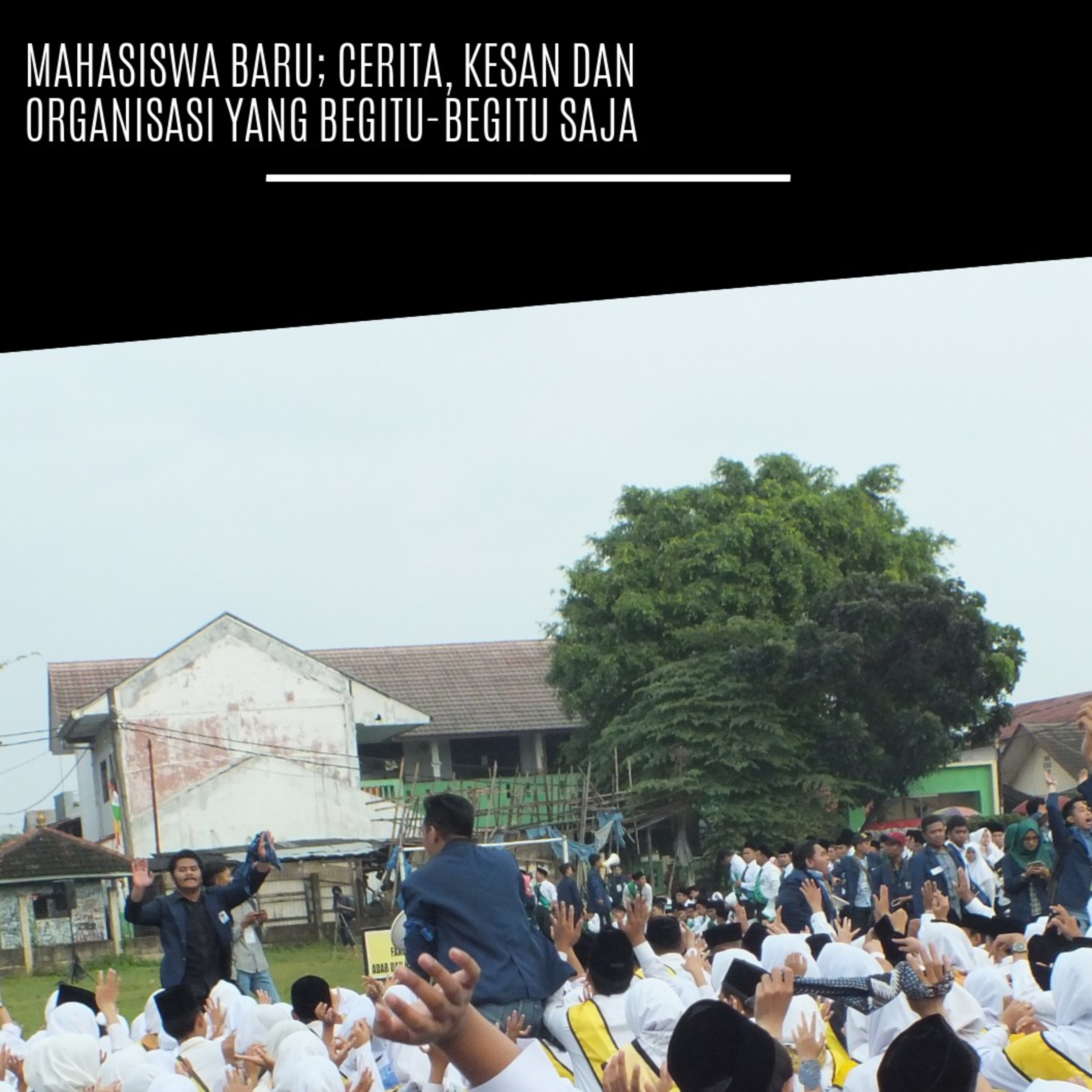 Sejarawan Nganggur