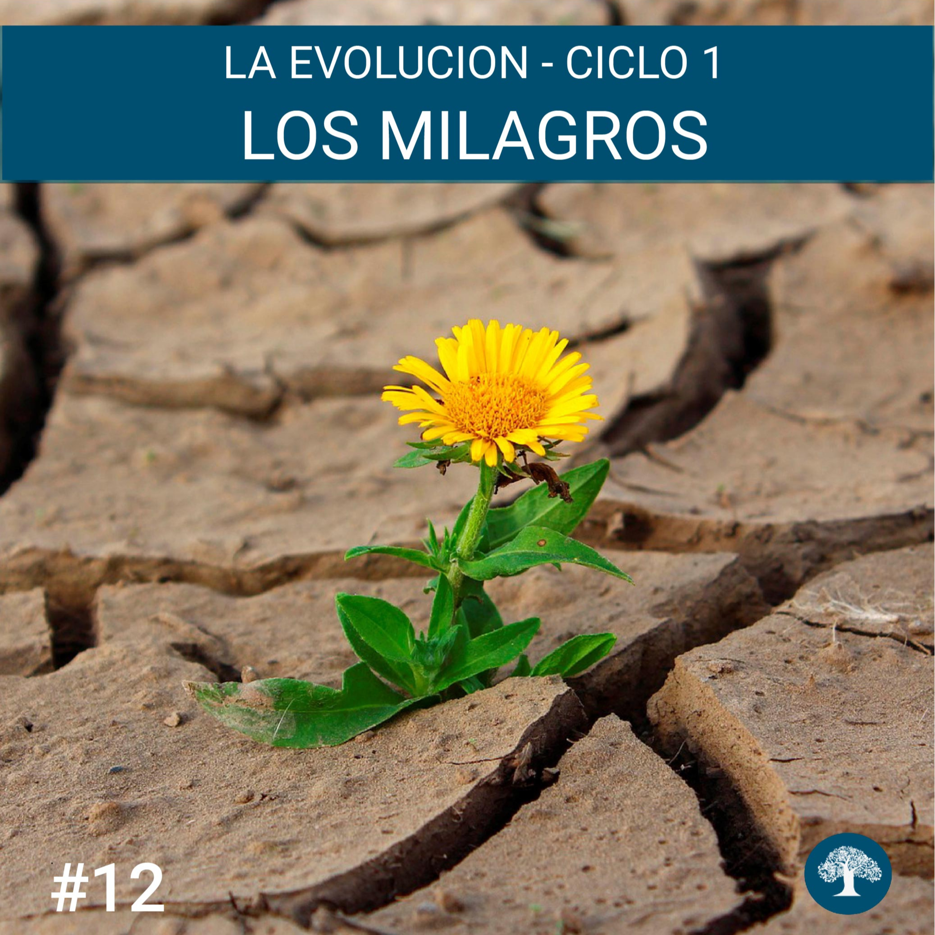 Portada de Impulso de una Nueva Vida