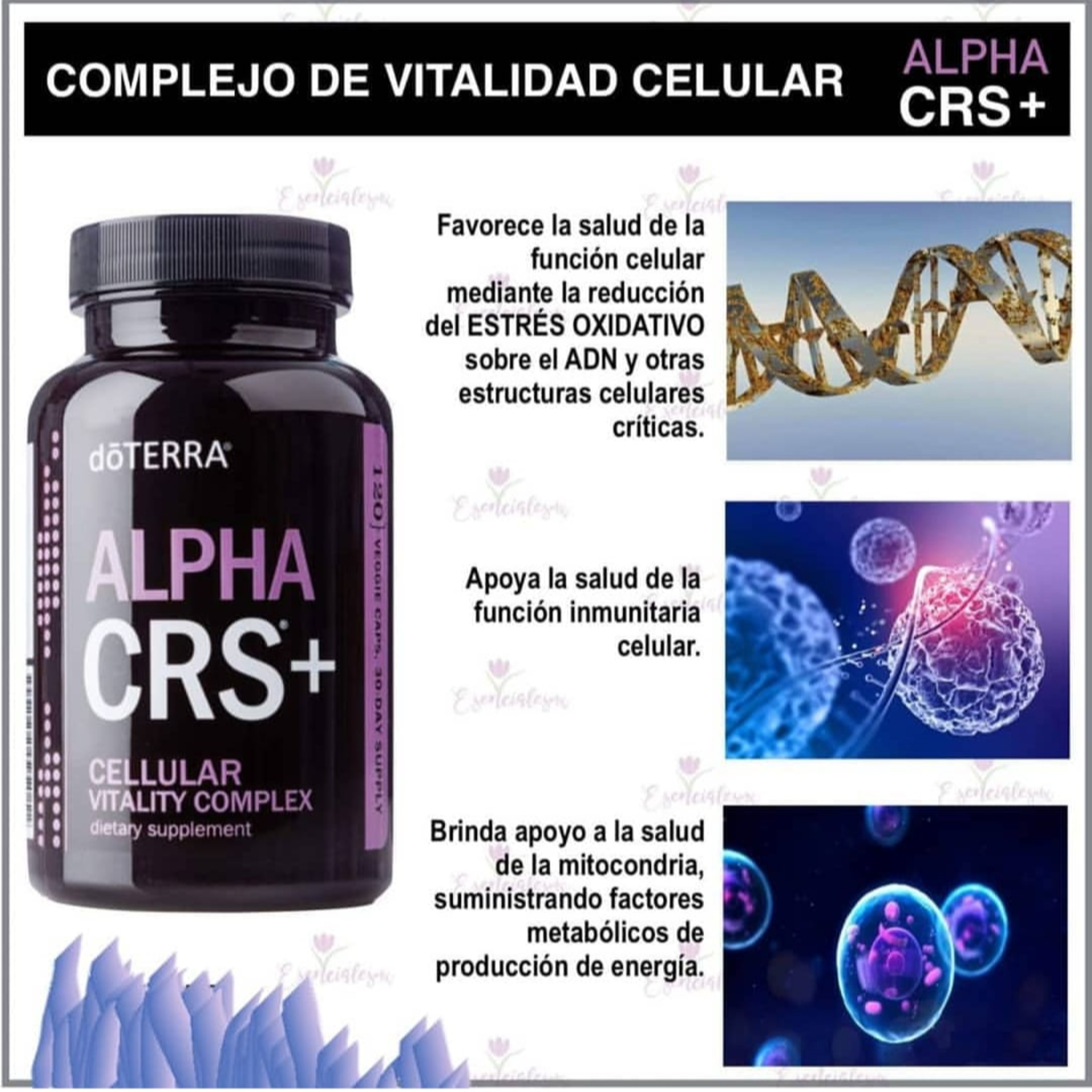 Alpha CRS+ | Complejo Celular episode artwork