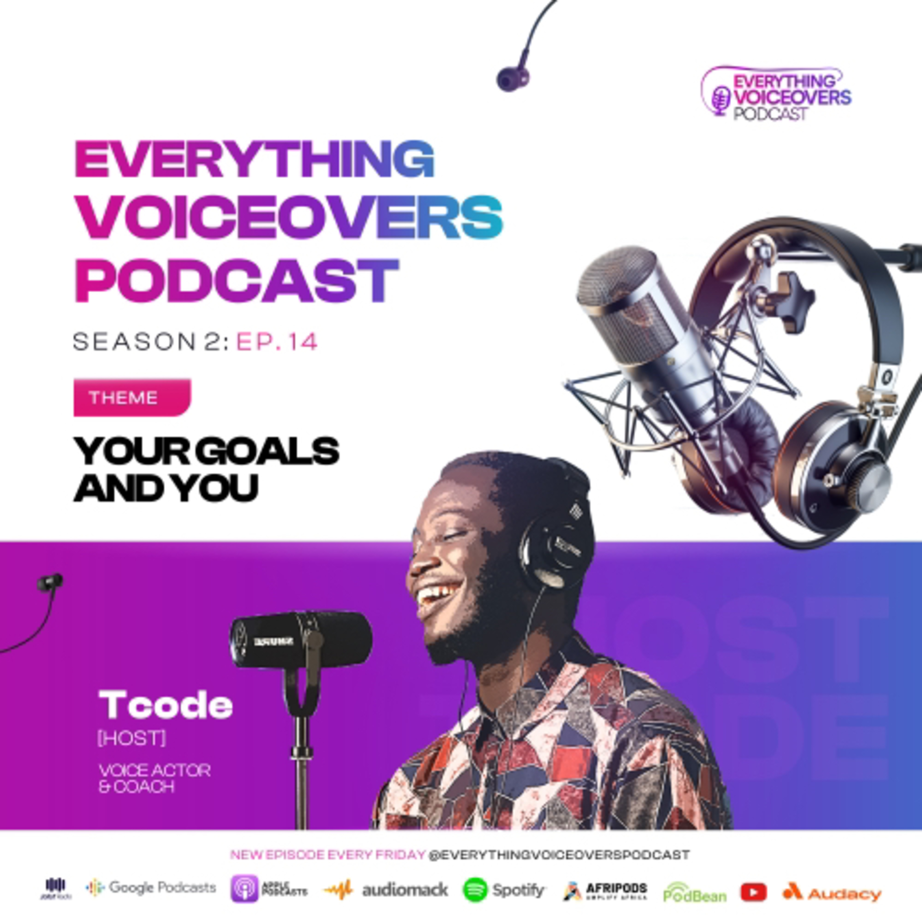 Everything Voiceovers: The African Perspective