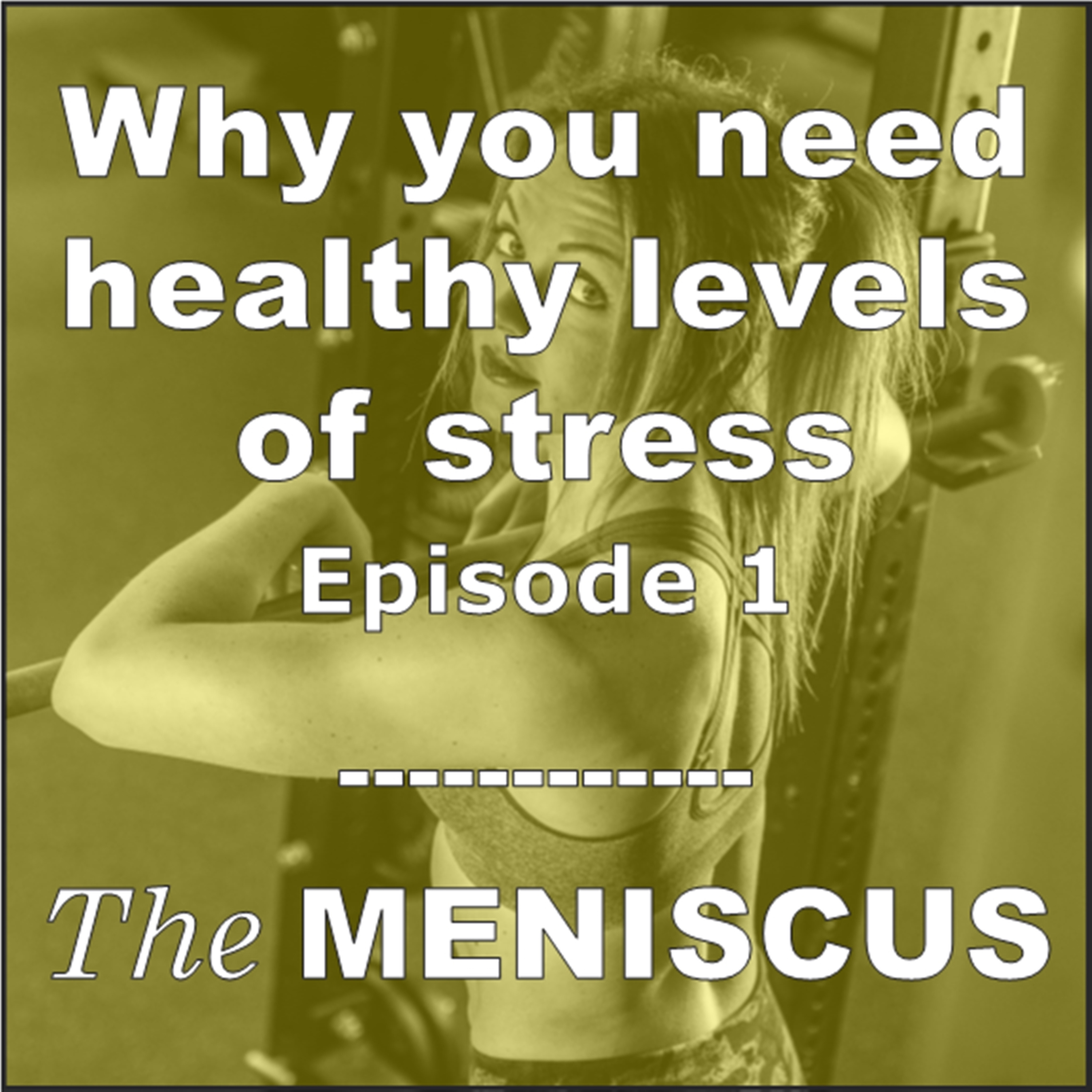 THE MENISCUS: Stress and physical activity necessary for good health