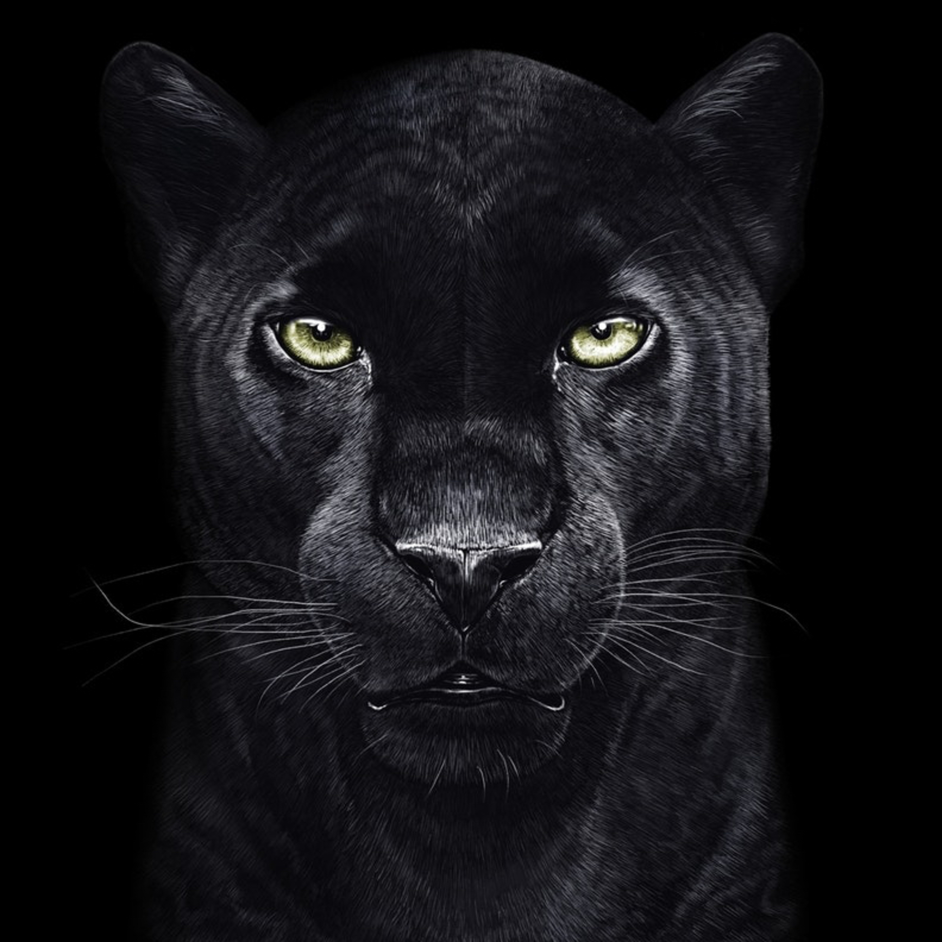 Just A Conversation Podcast