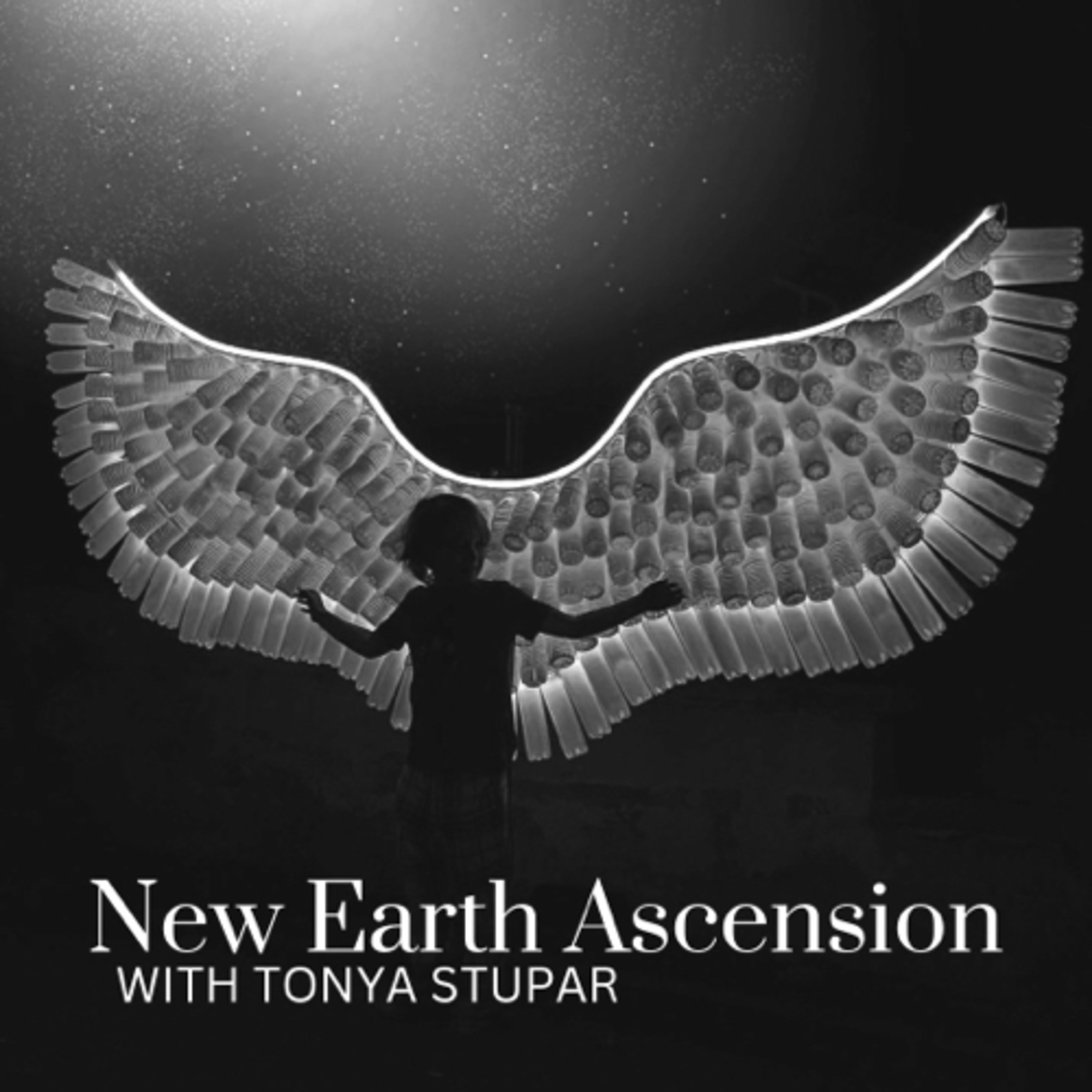 New Earth Ascension