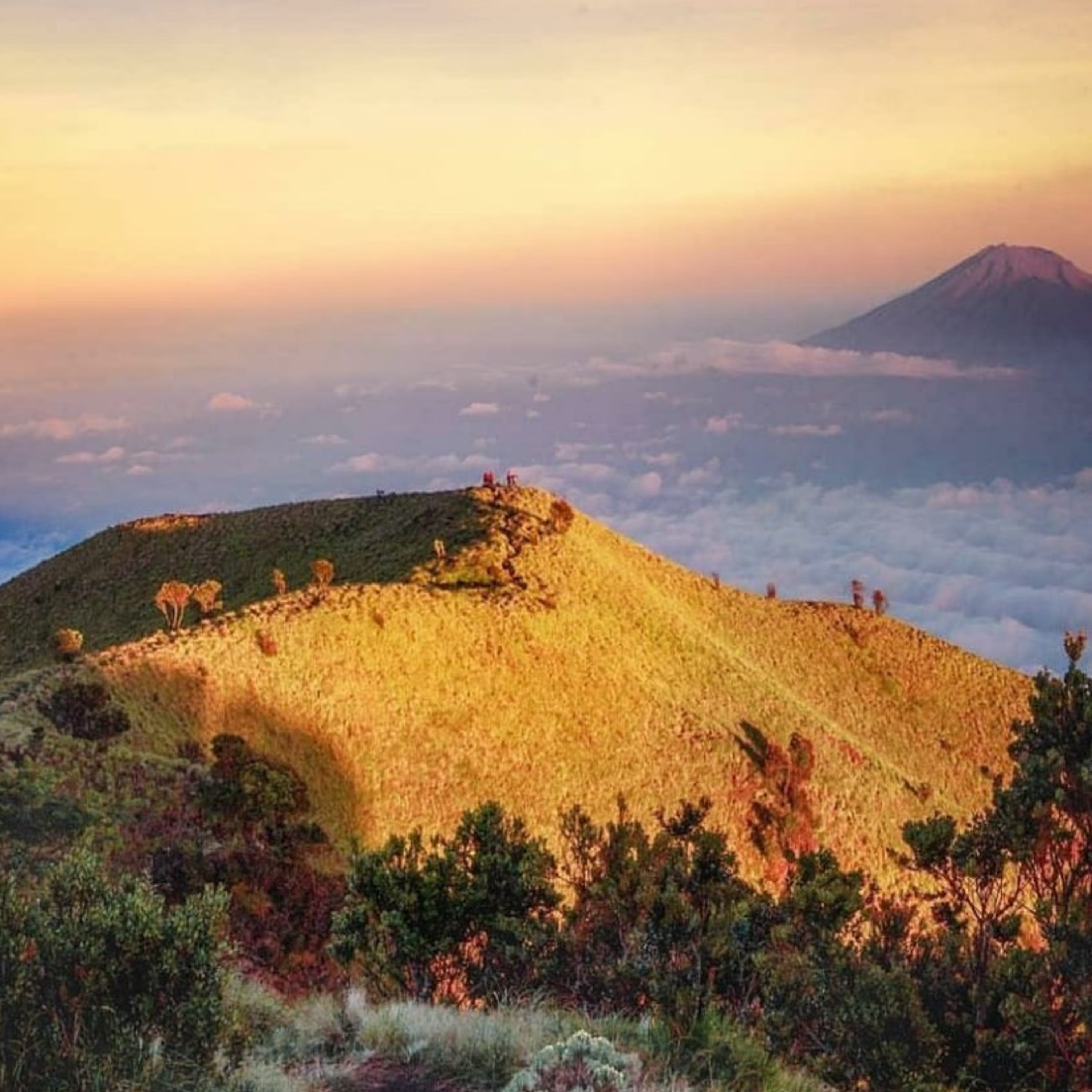 Bumi Bercerita