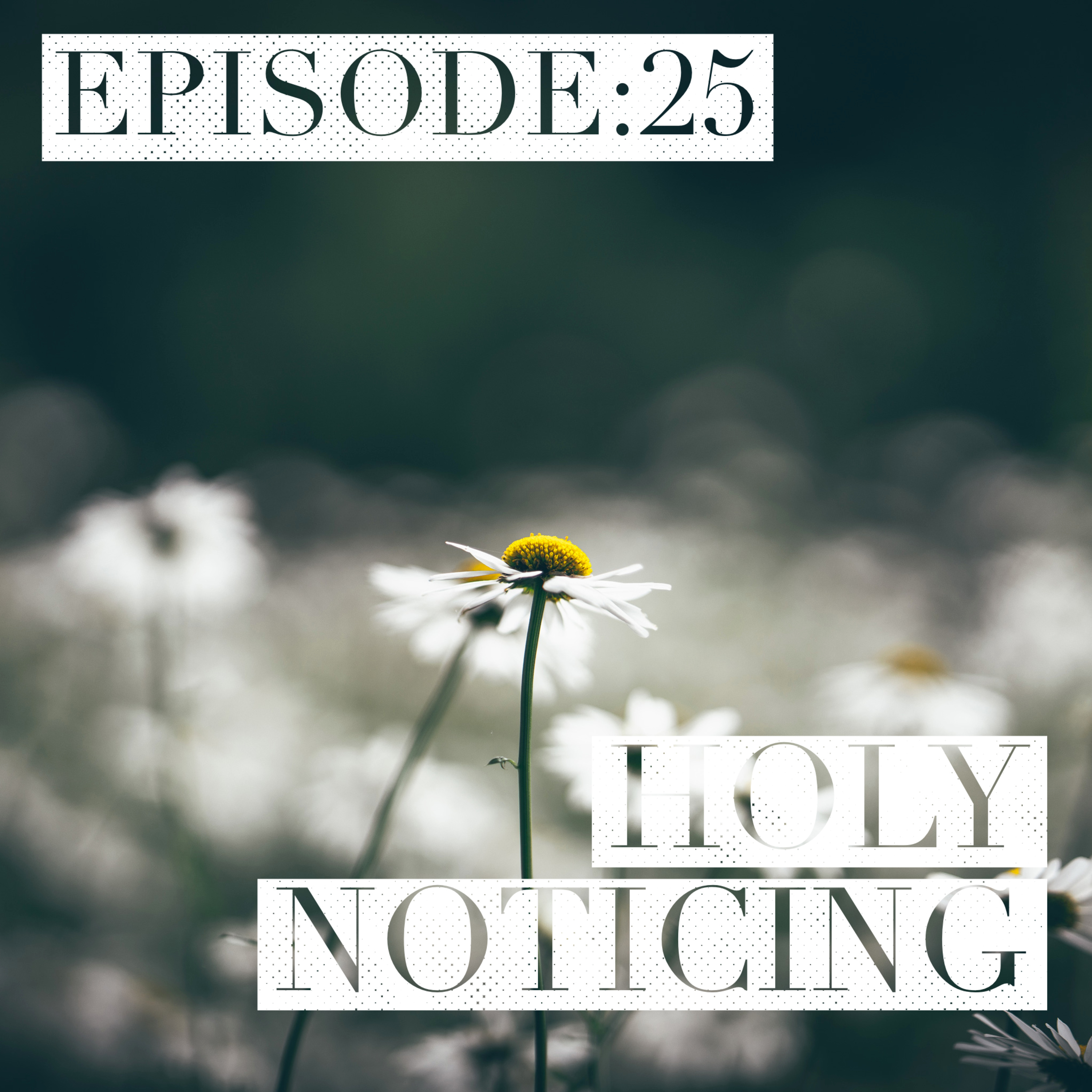 Episode 25: Holy Noticing