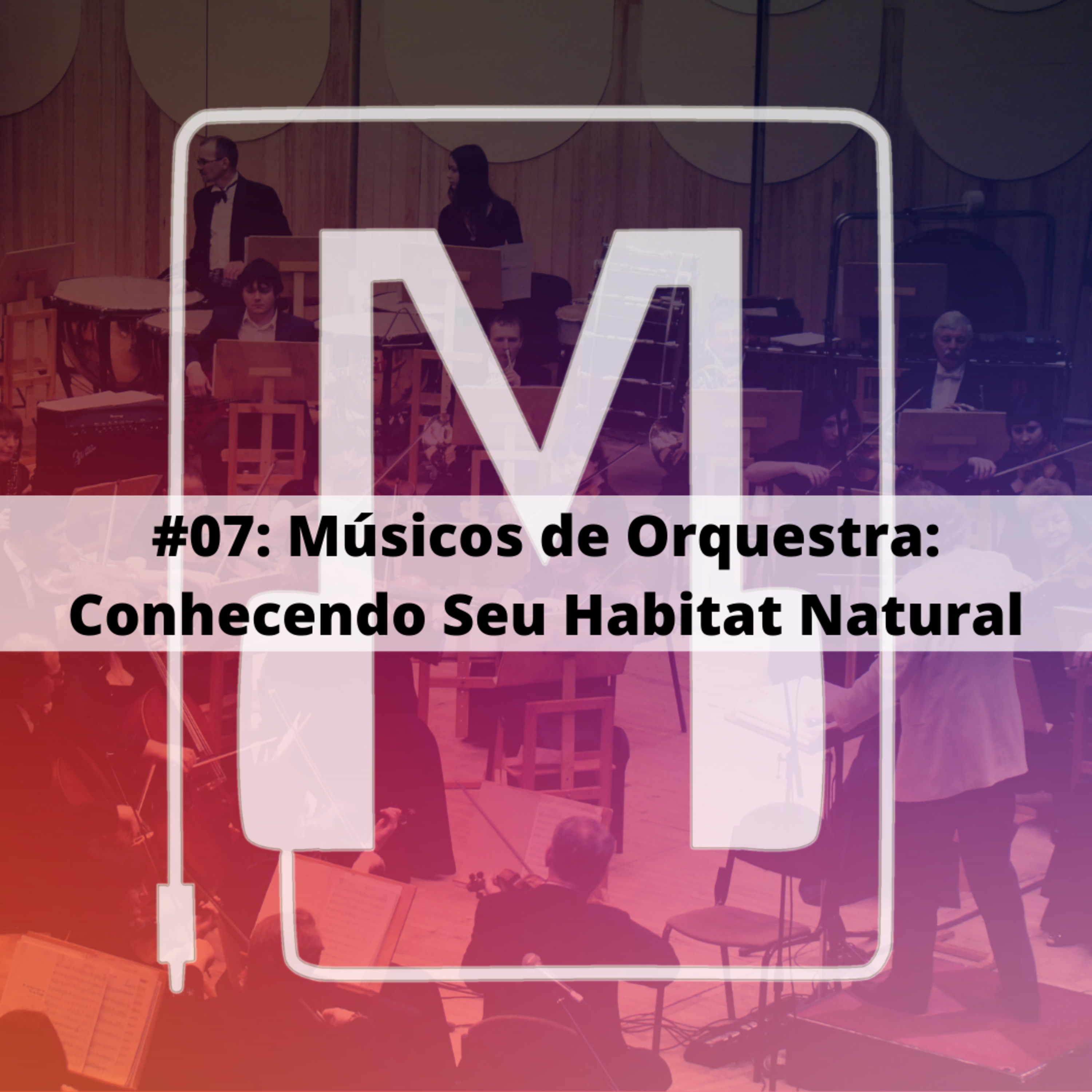 MusiCuriosos