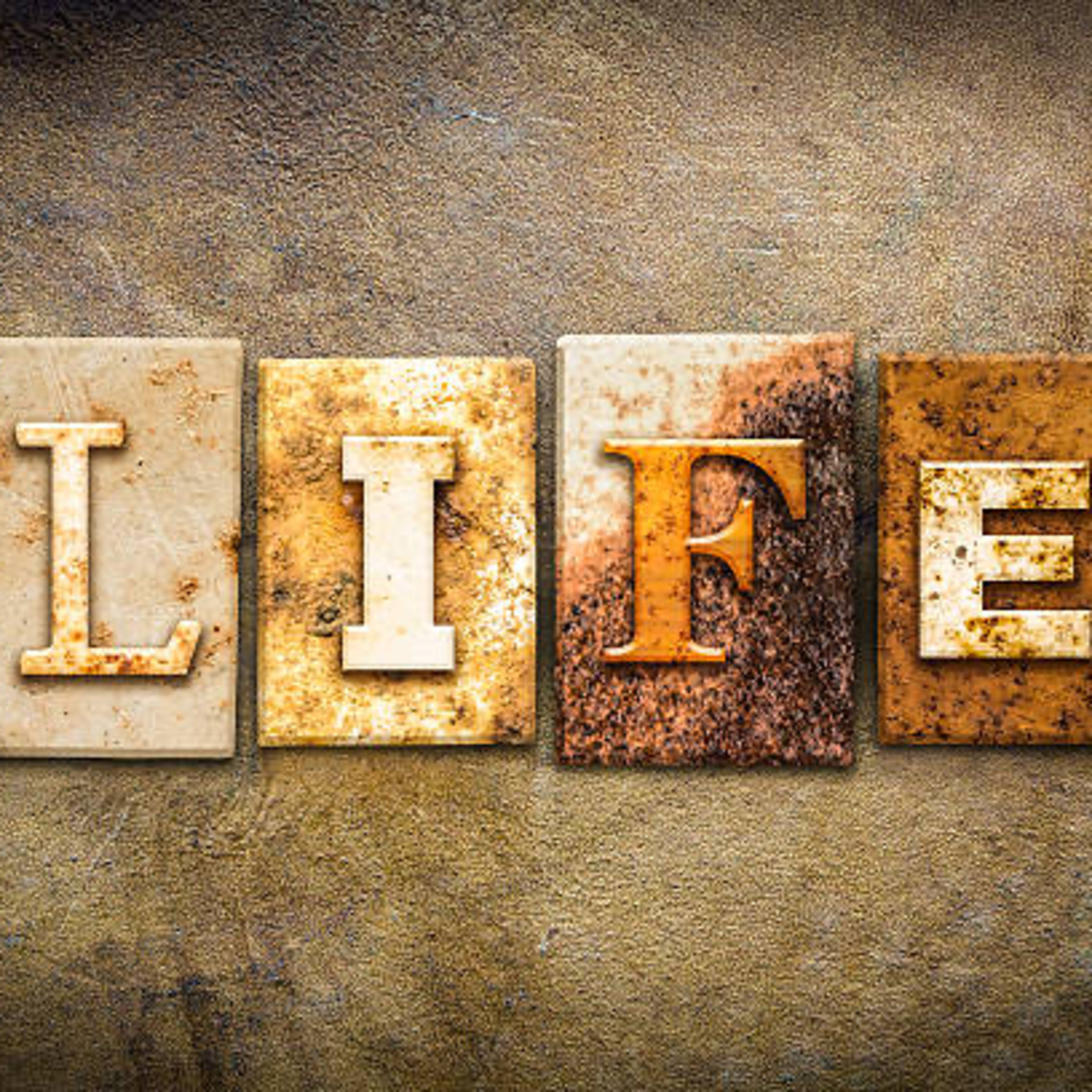 What does it mean to you?