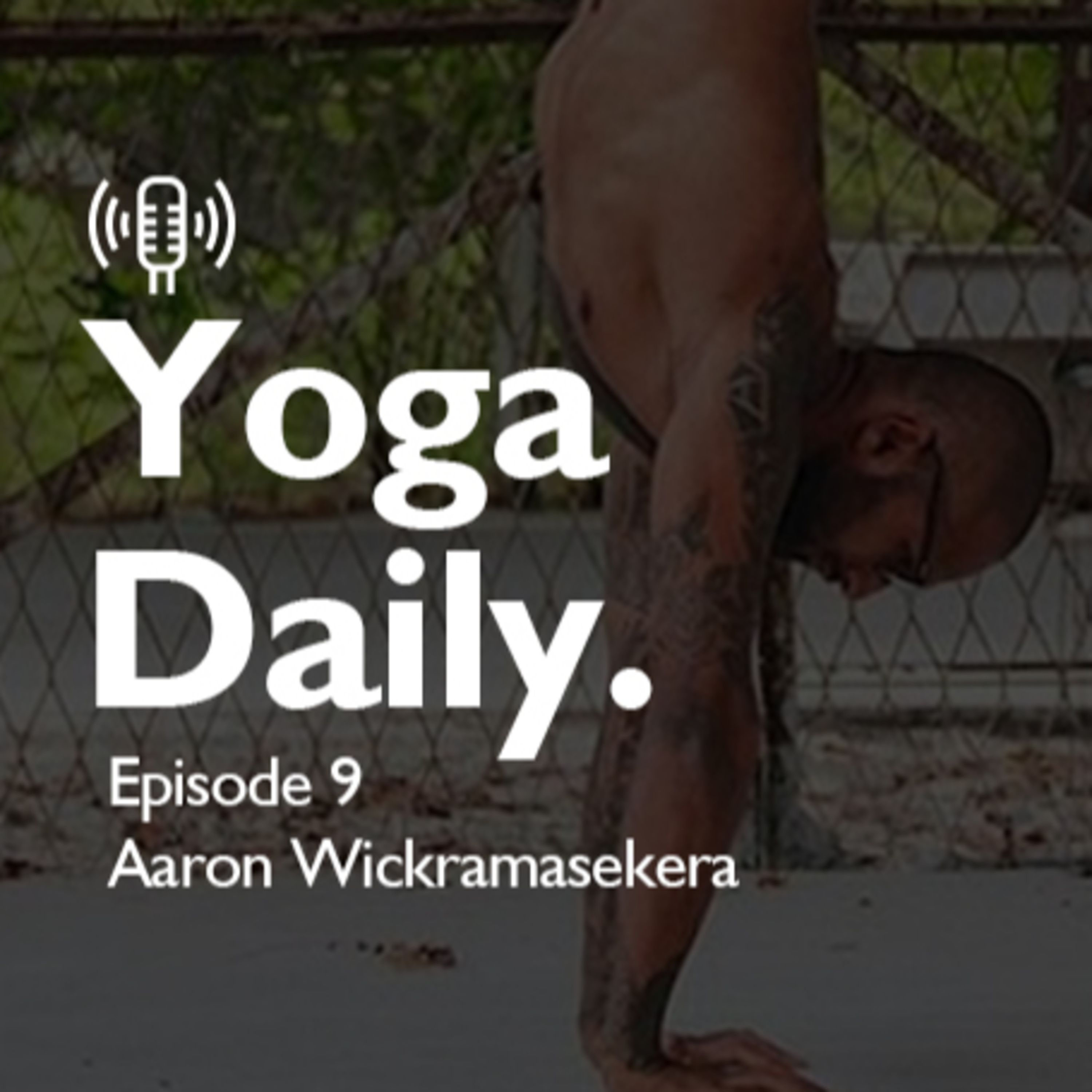 yoga daily