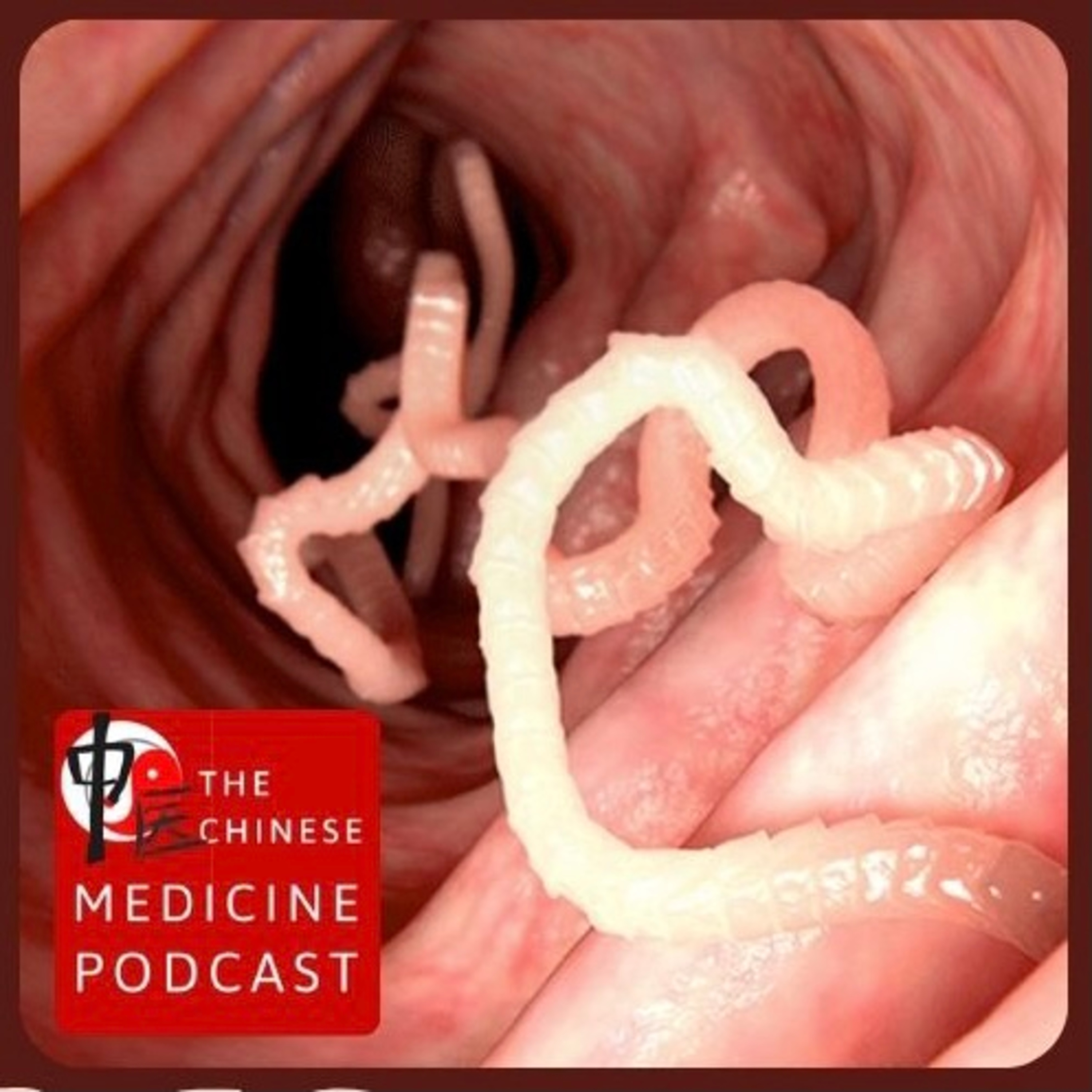 Chinese Medicine Podcast