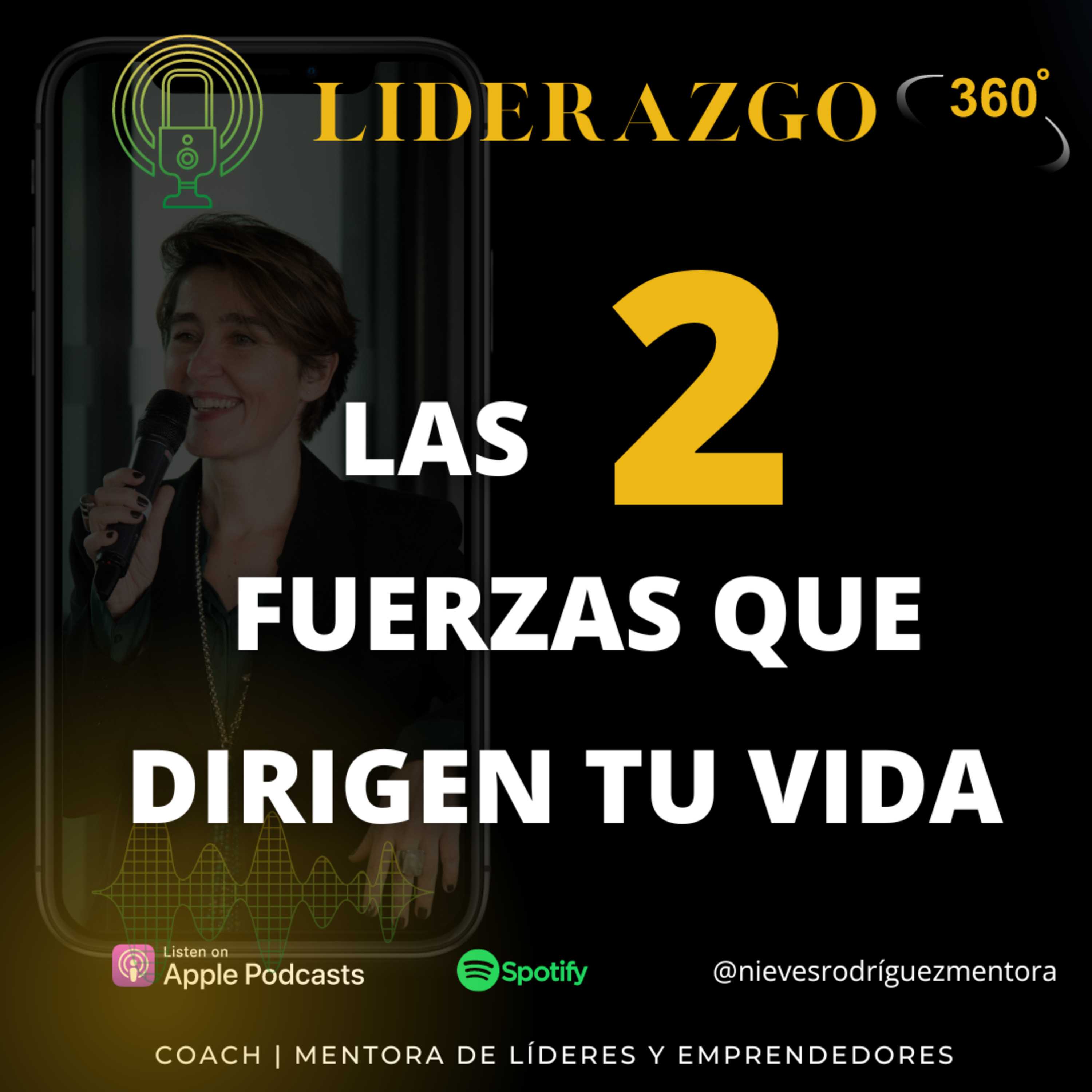 Neo-Liderazgo