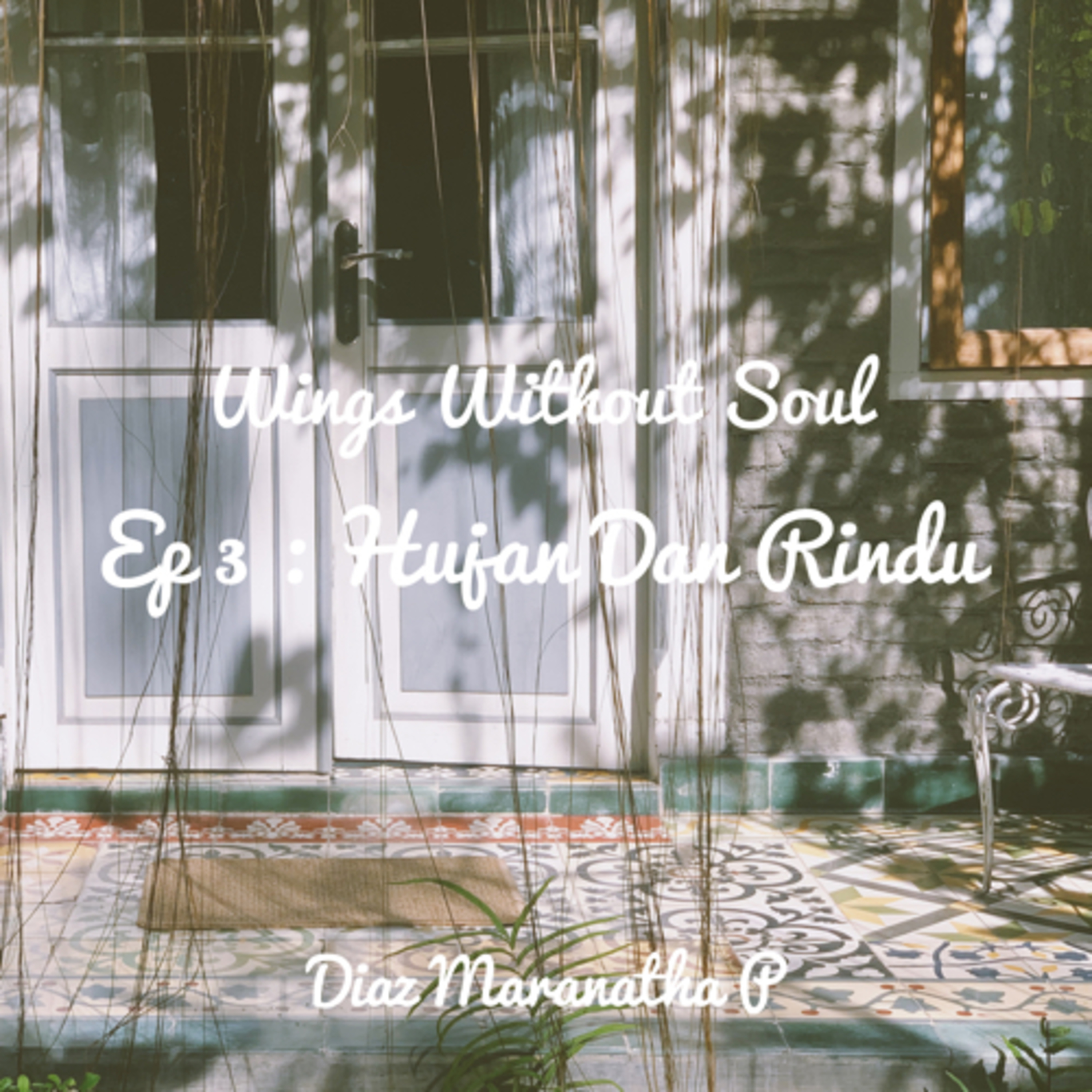Wings Without Soul