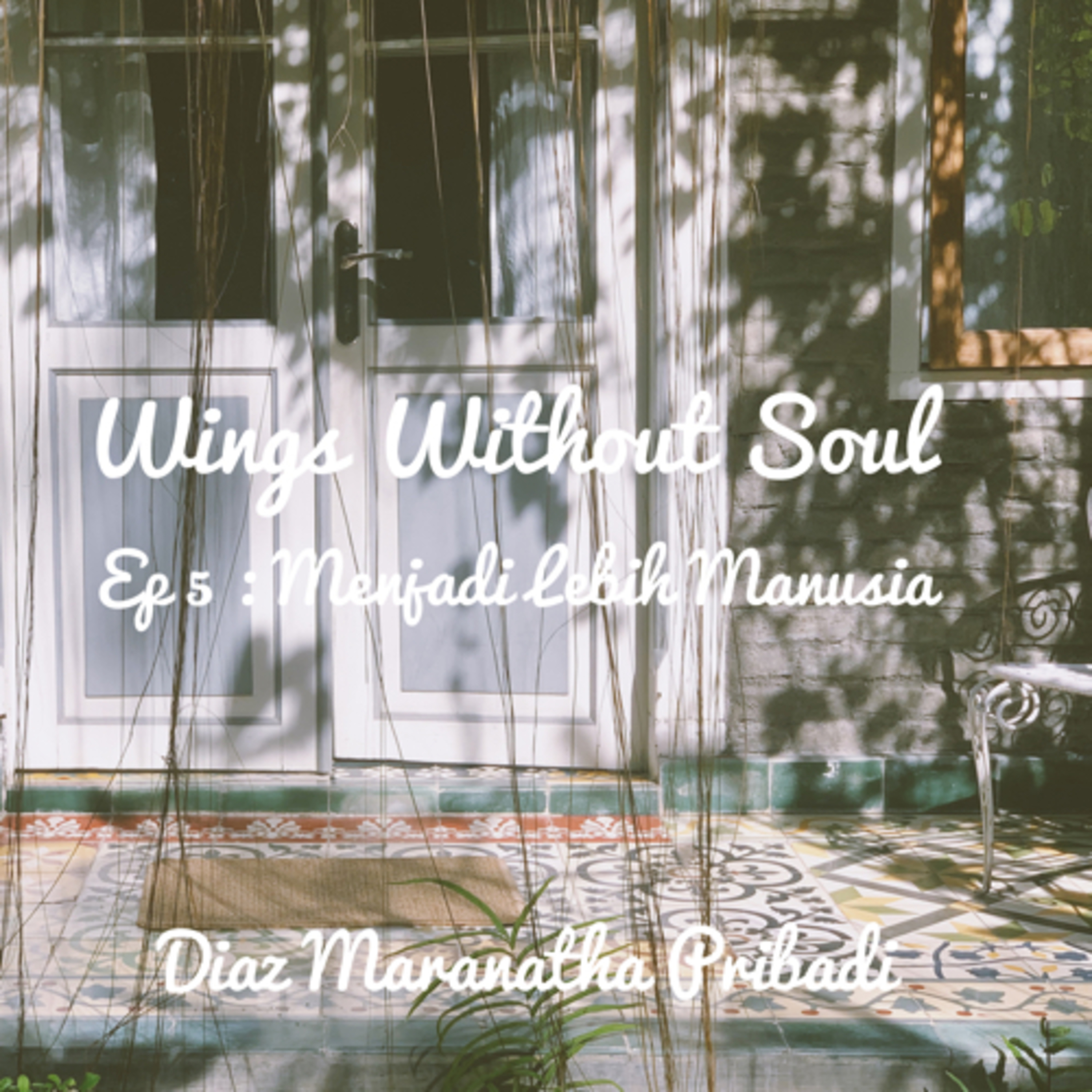 Wings Without Soul