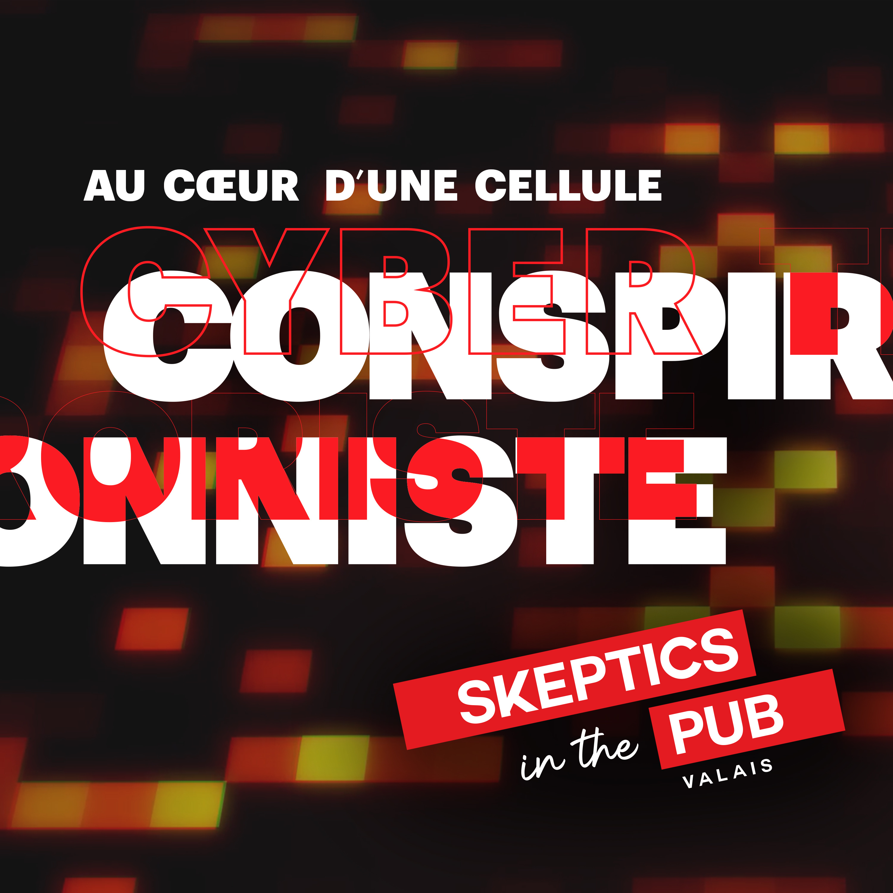 Skeptics in the Pub - Valais